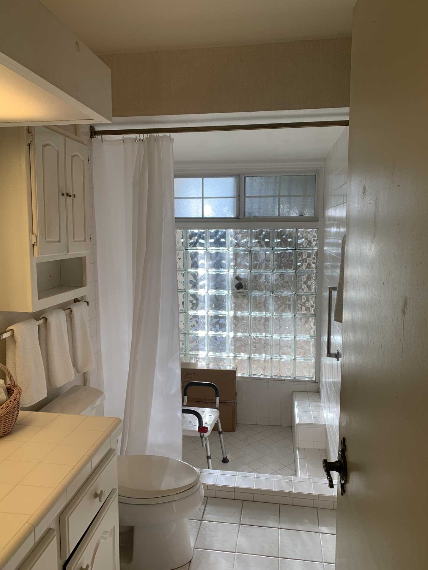 BEFORE - The dated main bathroom had a lightbox above a vanity with a tiled countertop, while the step-down shower had a glass block wall.