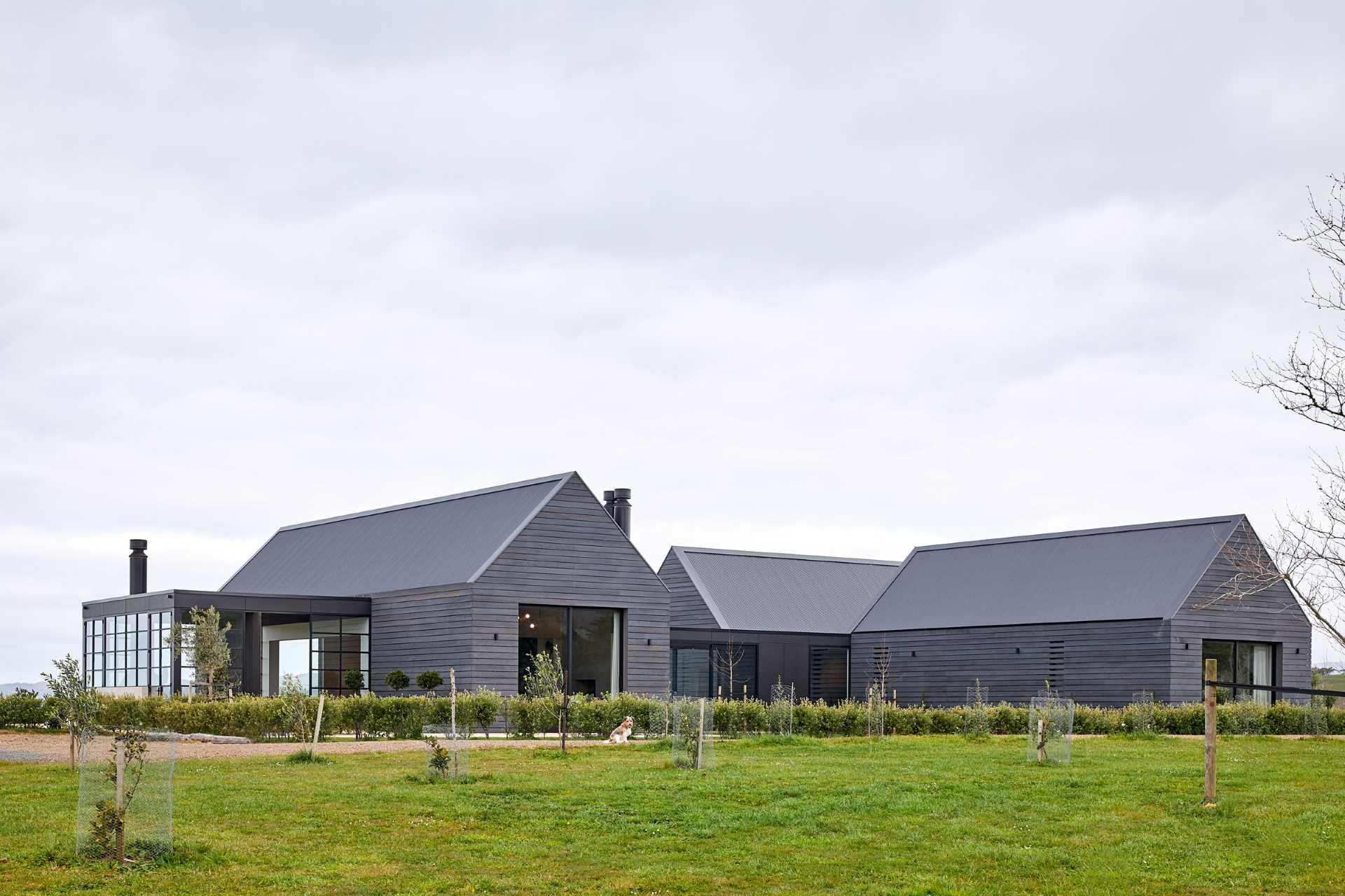 A contemporary farmhouse with grey-stained weathered wood siding and a standing seam grey metal roof.