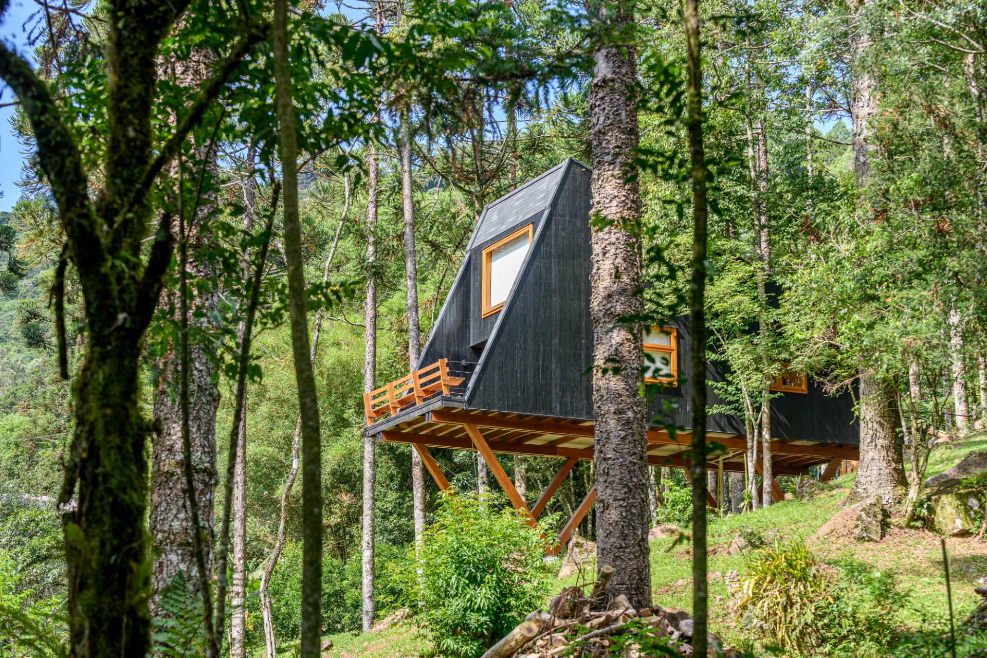 This modern and elevated tree house is covered with cider eucalyptus wood that's been painted with a black stain.