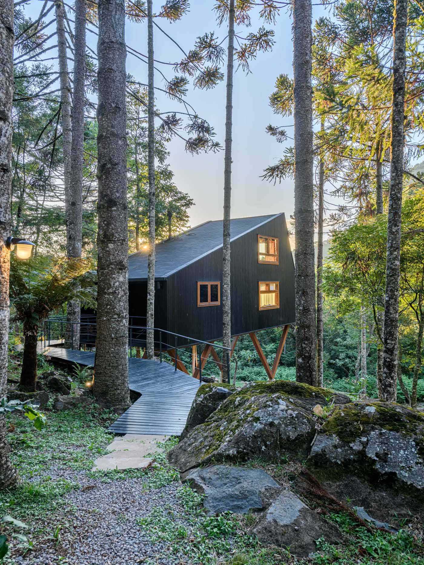 This modern and elevated tree house is covered with cider eucalyptus wood that's been painted with a black stain.