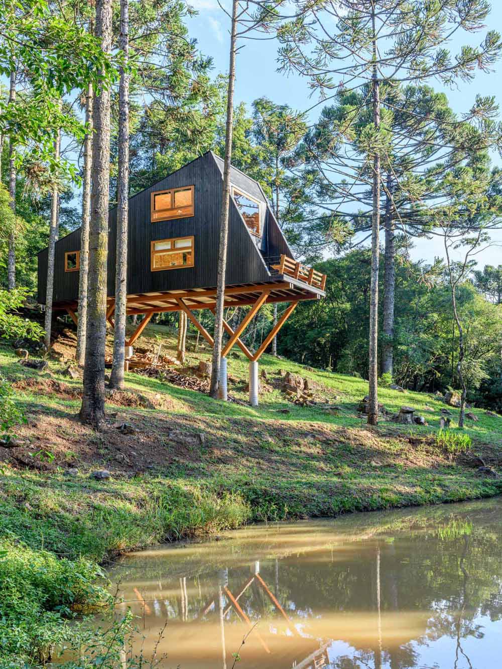 This modern and elevated tree house is covered with cider eucalyptus wood that's been painted with a black stain.