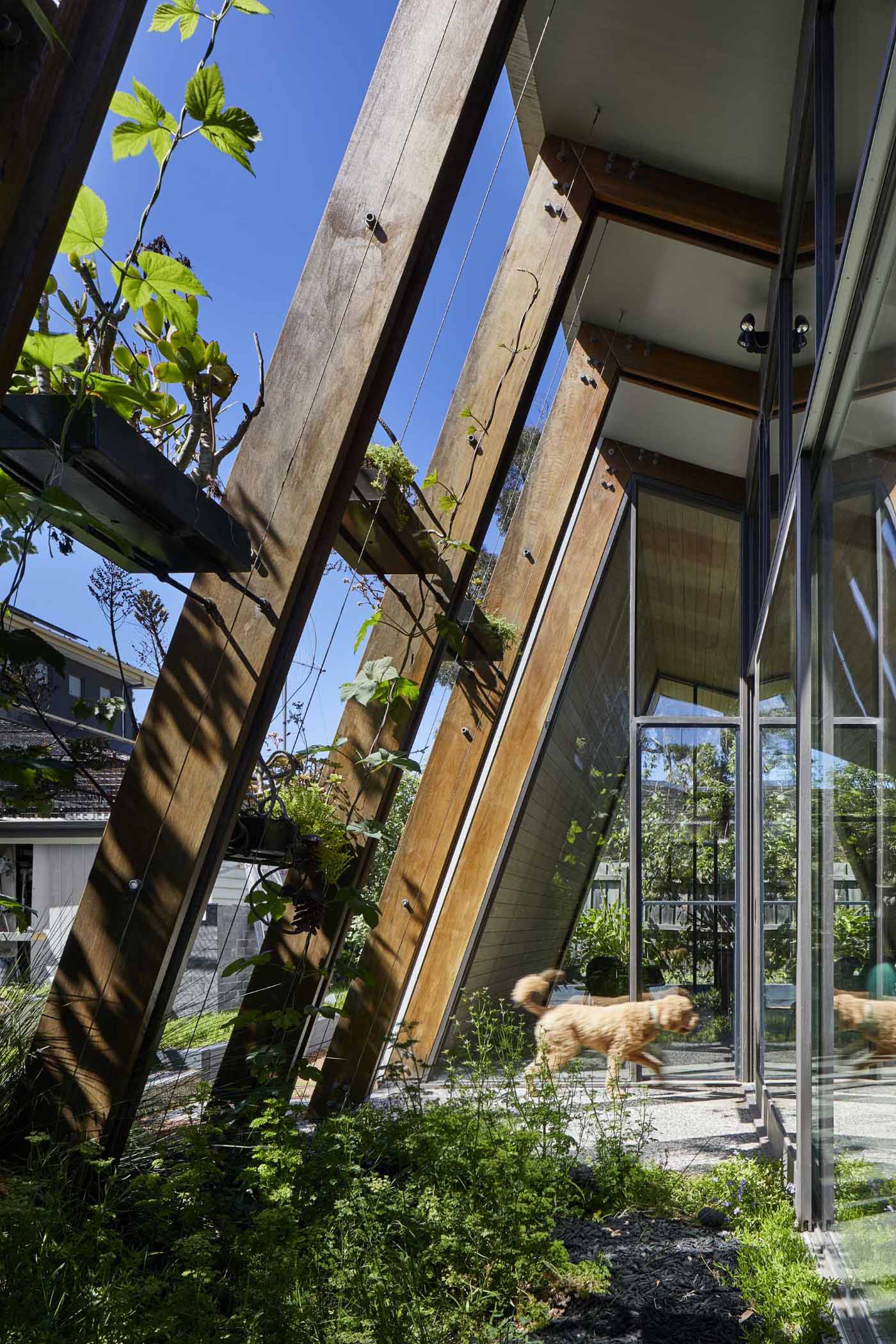 The arbor-like structure of this home addition includes shelving and wire guides that over time, will allow the plants to grow, providing shade and privacy for the interior.