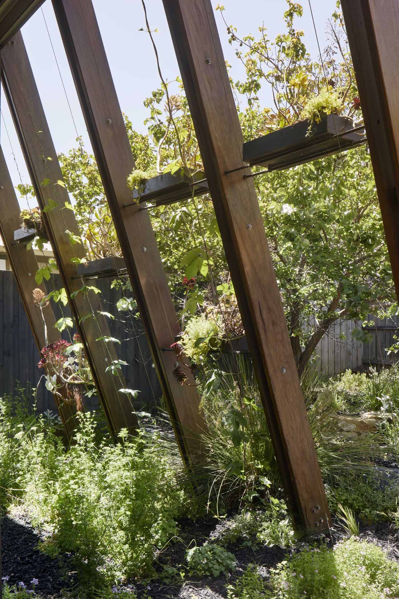 The arbor-like structure of this home addition includes shelving and wire guides that over time, will allow the plants to grow, providing shade and privacy for the interior.