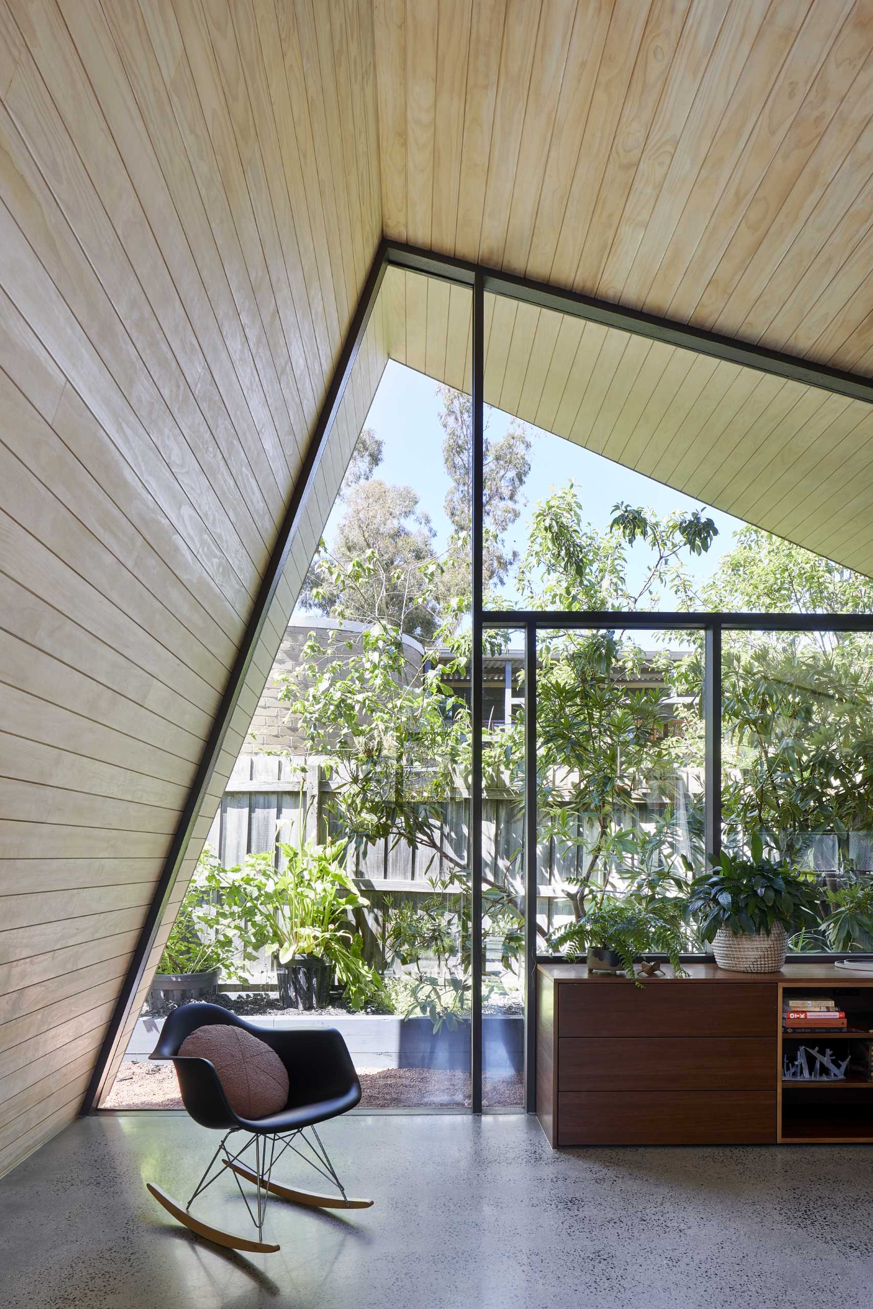 This modern living room with a wood ceiling includes a wall of windows with black frames that follows the shape of extension.