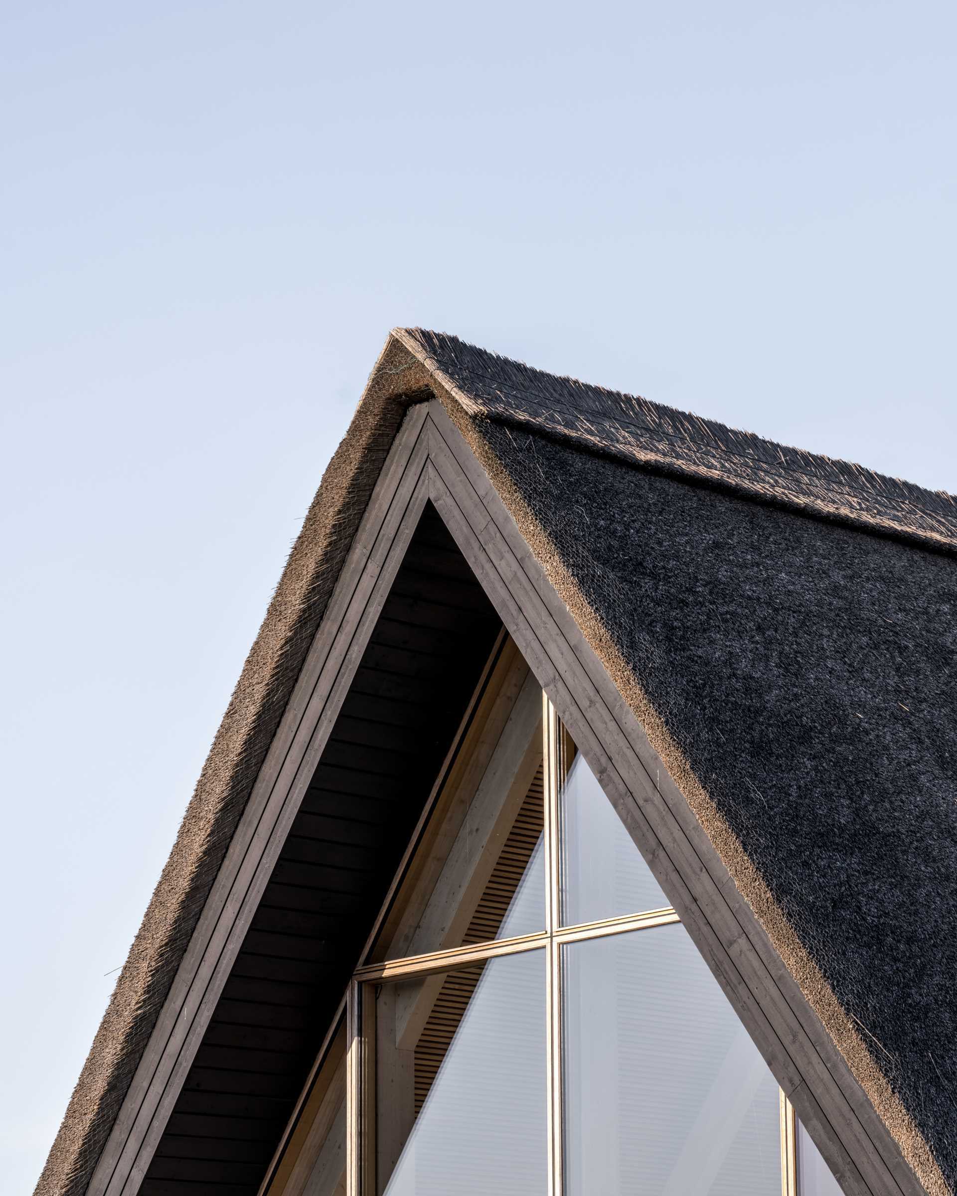 A modern home with black charred wood siding and a thatched roof.