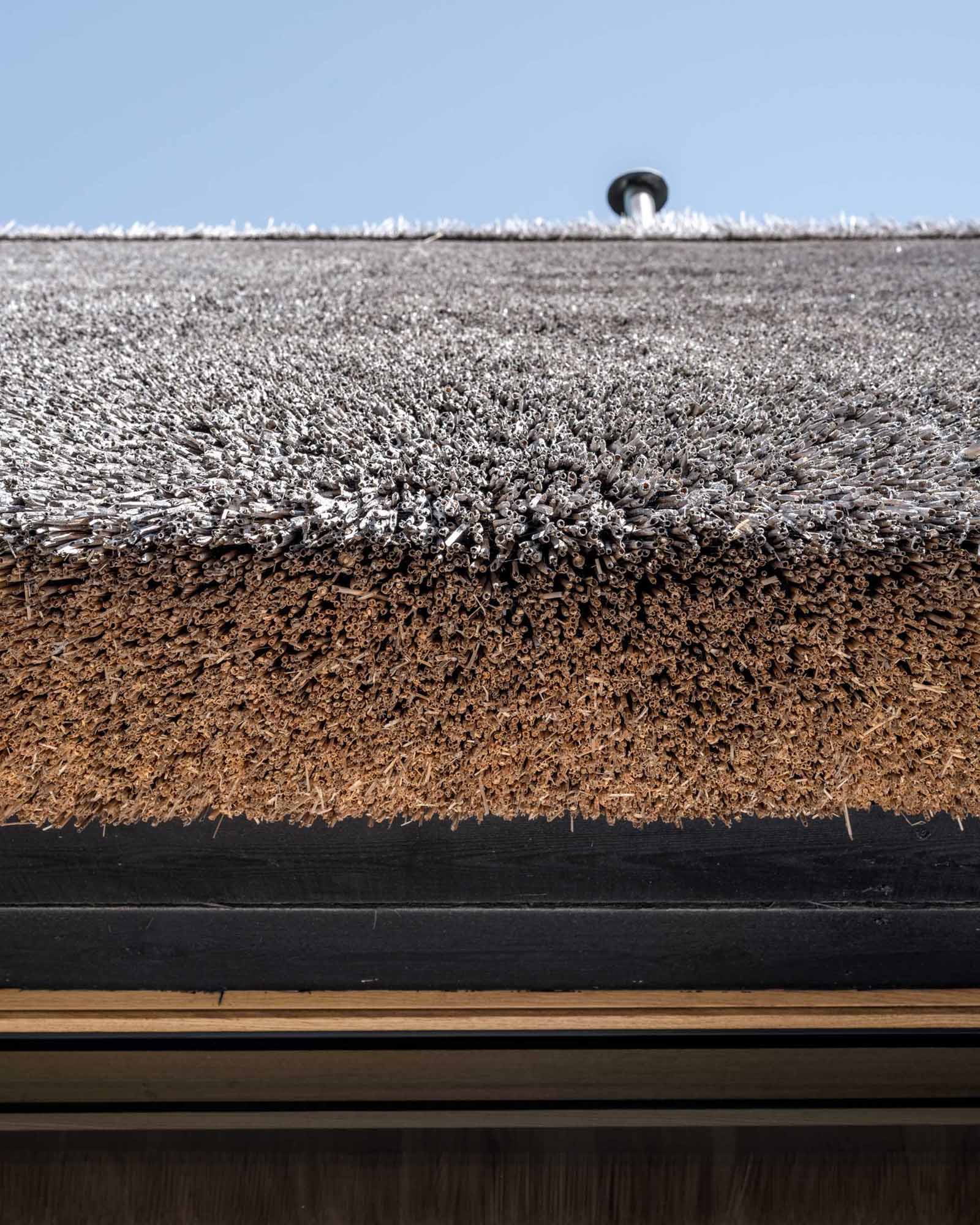 A modern home with black charred wood siding and a thatched roof.