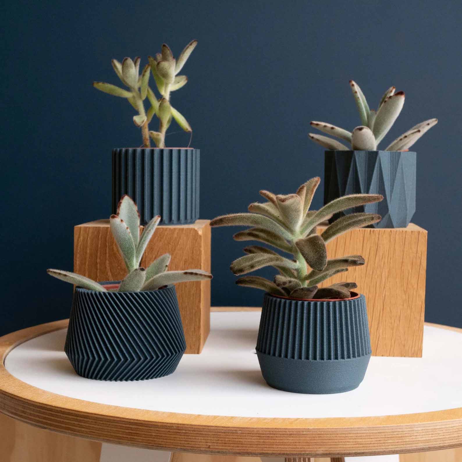 Modern Gift Idea - A set of four succulent planters