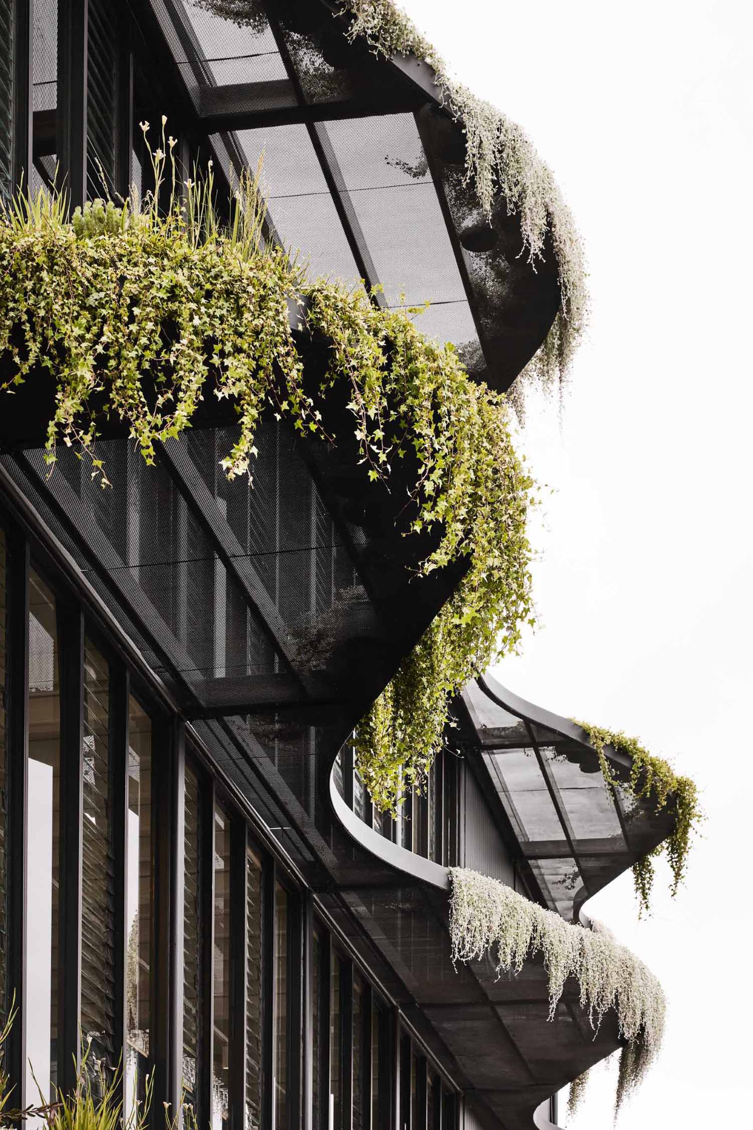 Drawing inspiration from the Australian landscape, Koichi Takada Architects designed a three-storey modular building that has over 1,000 native Australian plants and flowers on its facade.