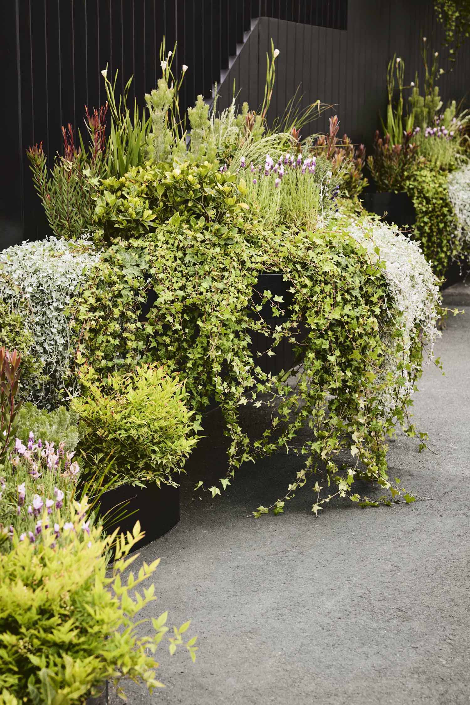 Drawing inspiration from the Australian landscape, Koichi Takada Architects designed a three-storey modular building that has over 1,000 native Australian plants and flowers on its facade.