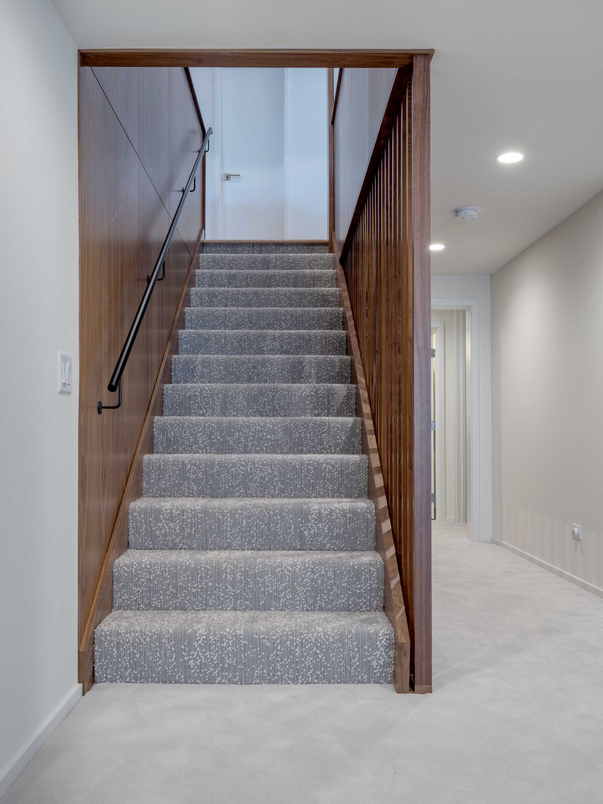 Contemporary stairs with wood accent surround.