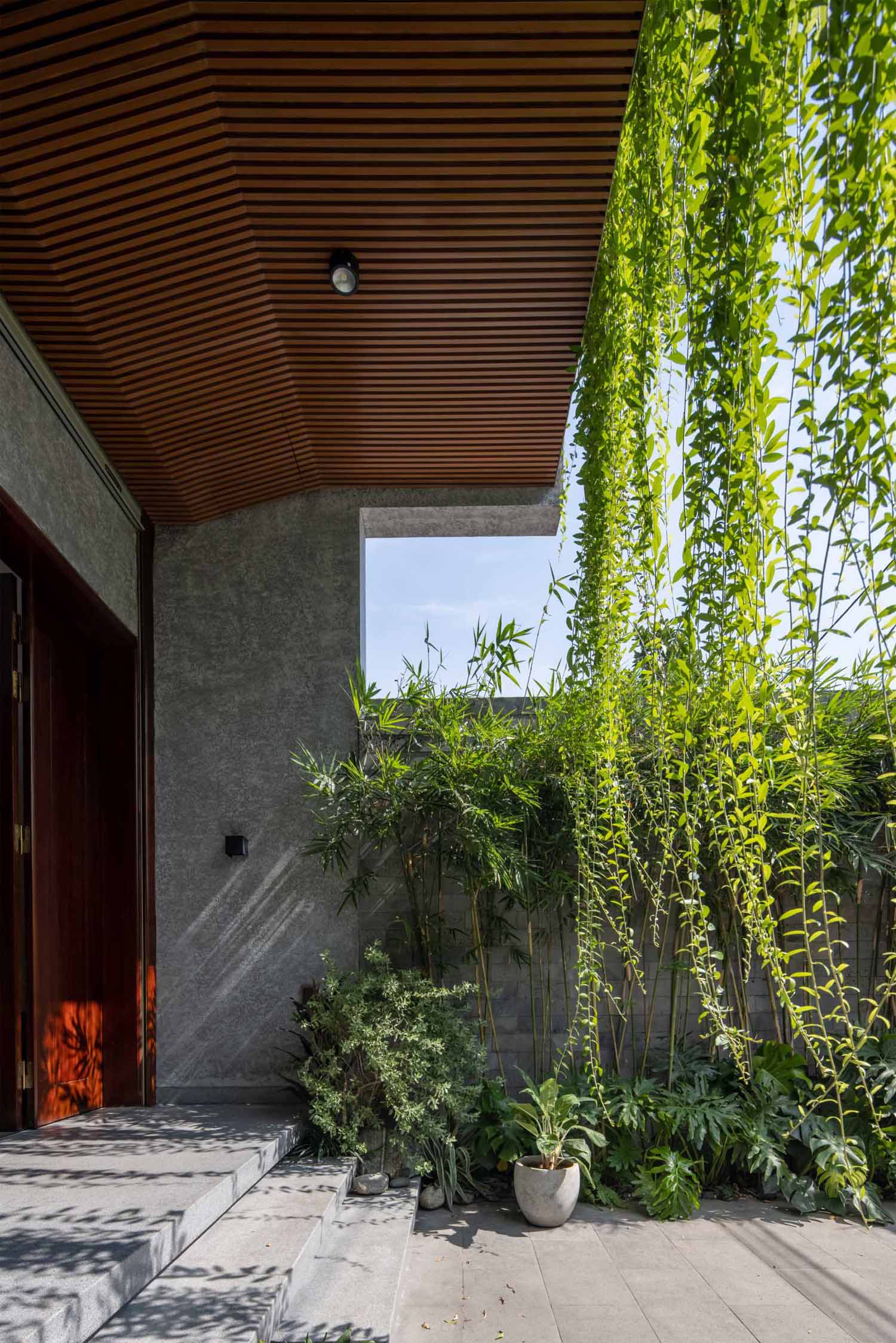 Steps lead from the front courtyard to the covered entryway, with the plants adding shade.