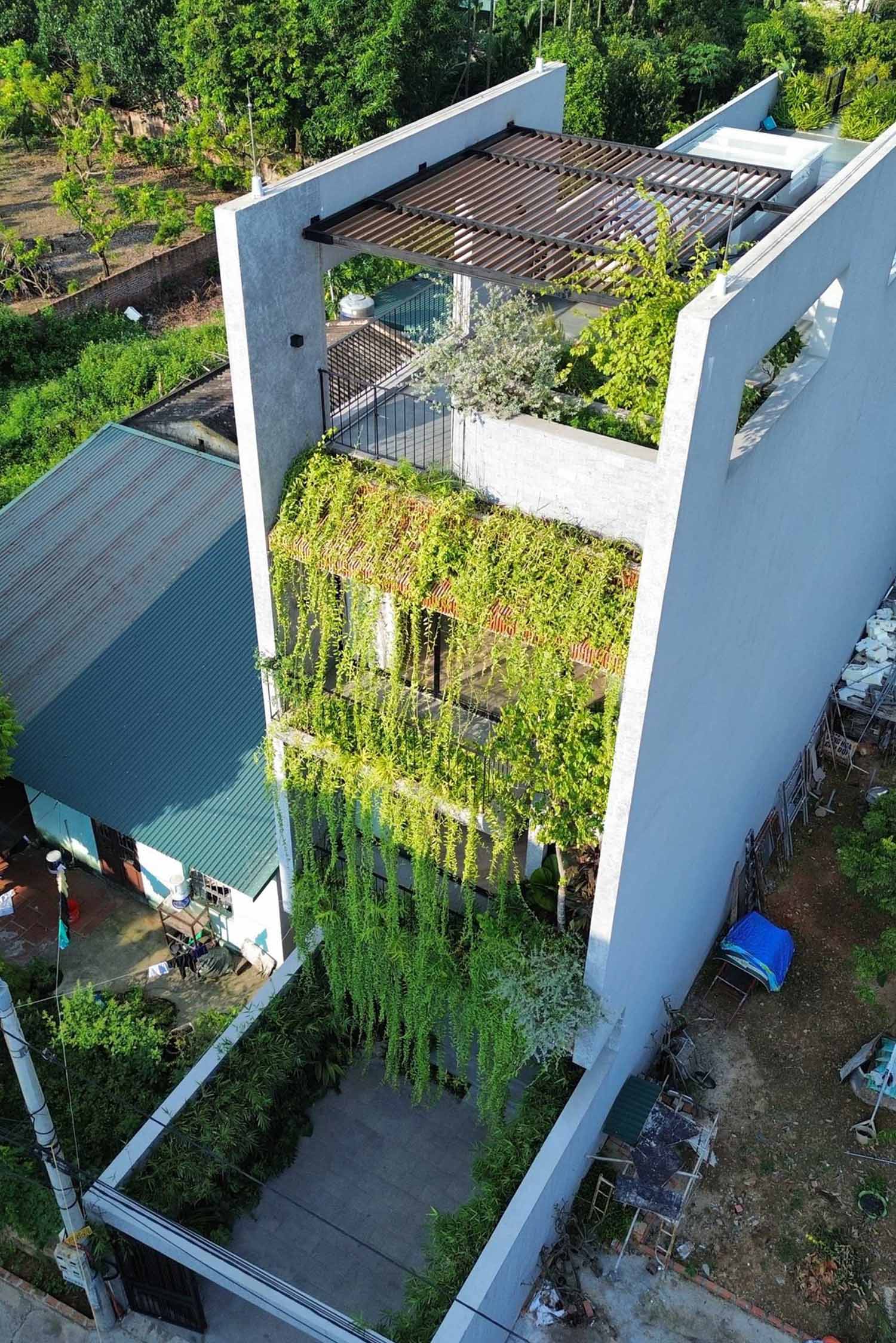 To integrate nature into the design of this modern home, Chrysanthemum curtains have been planted on the balconies, helping to soften the exterior and solve the problem of heat radiation, as well as the hot dry wind. The plants also assist in shielding the interior from the rain.