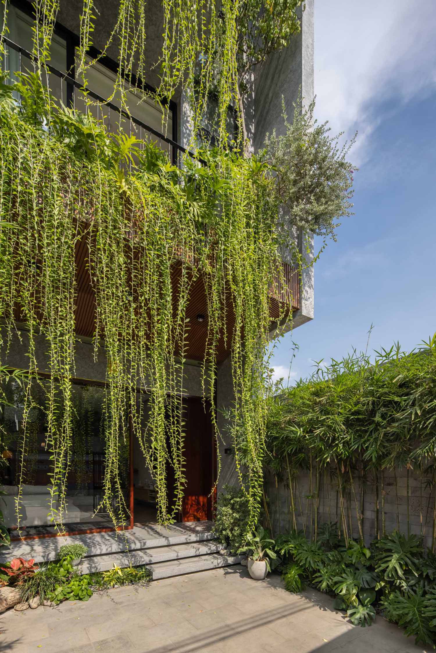 To integrate nature into the design of the home, Chrysanthemum curtains have been planted on the balconies, helping to soften the exterior and solve the problem of heat radiation, as well as the hot dry wind. The plants also assist in shielding the interior from the rain.