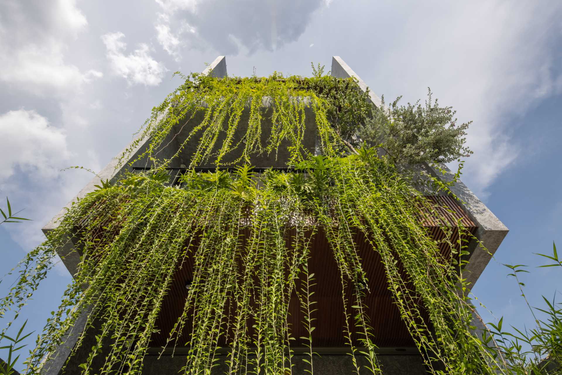 To integrate nature into the design of the home, Chrysanthemum curtains have been planted on the balconies, helping to soften the exterior and solve the problem of heat radiation, as well as the hot dry wind. The plants also assist in shielding the interior from the rain.