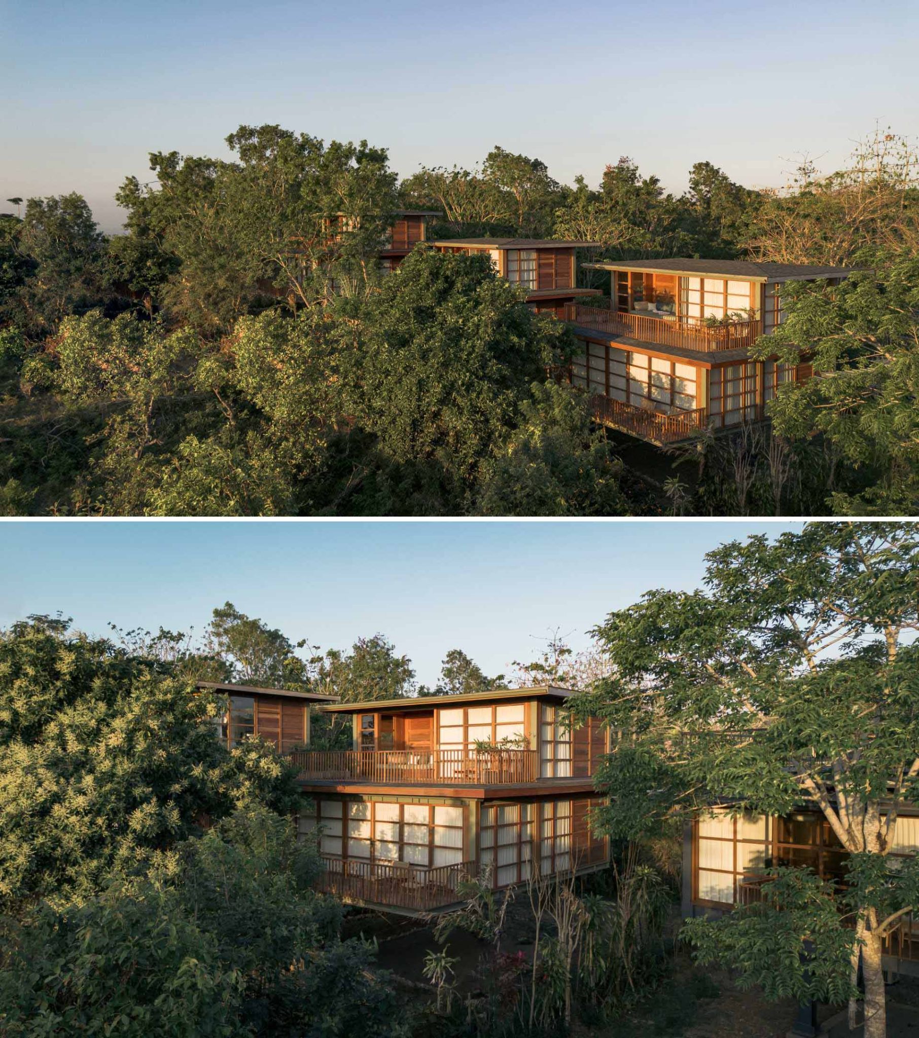 Photo inspiration: Fresh Look at Wood Houses Appear Through The Tops Of The Trees At