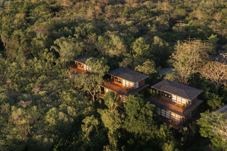 Wood Houses Appear Through The Tops Of The Trees At This Nature-Focused Resort