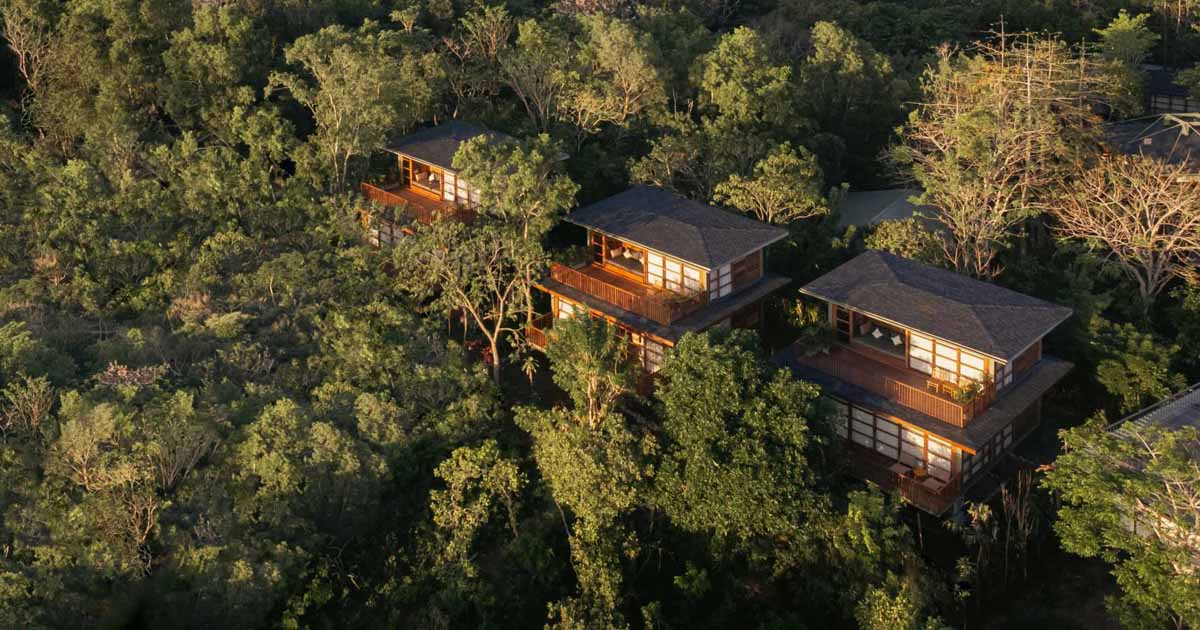 Wood Houses Appear Through The Tops Of The Trees At This Nature-Focused Resort