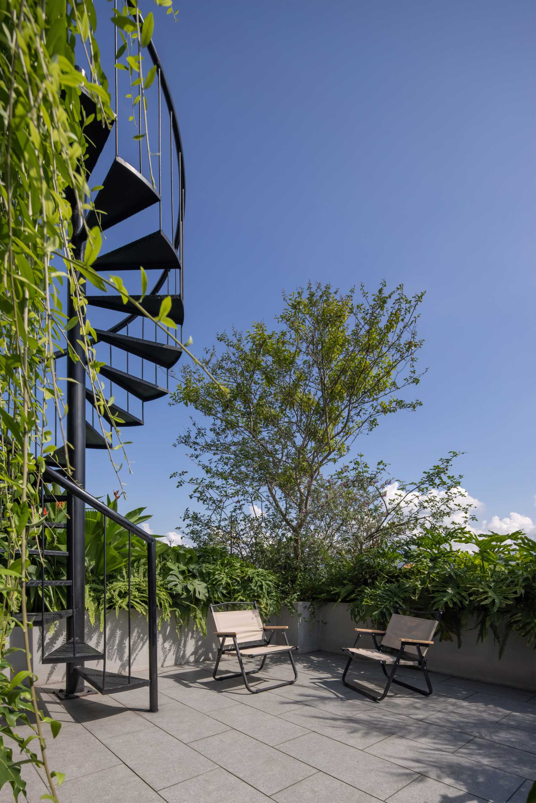 A modern rooftop patio with seating and spiral stairs that lead to an additional rooftop area with a pergola and more plants.