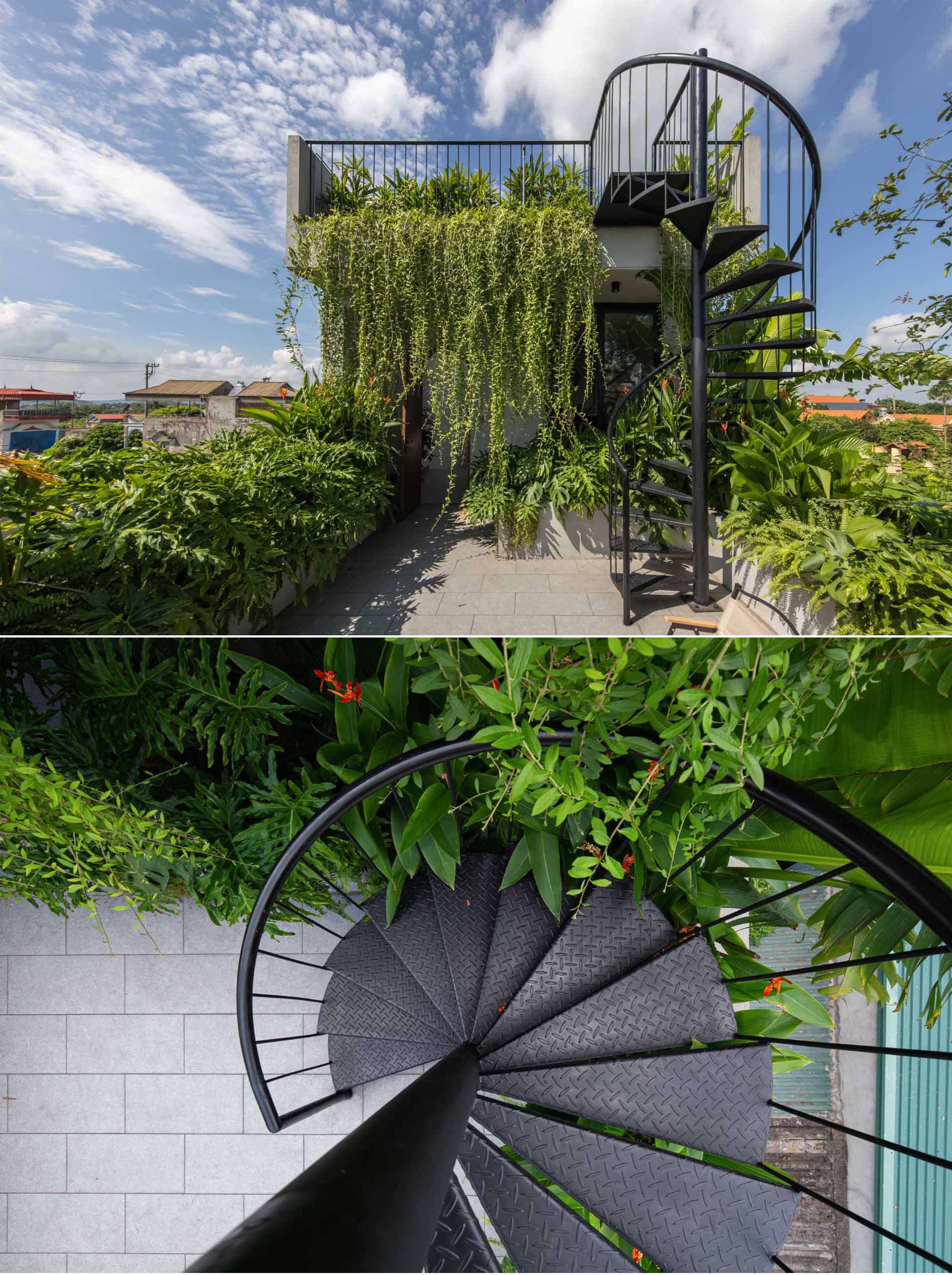 A modern rooftop patio with seating and spiral stairs that lead to an additional rooftop area with a pergola and more plants.