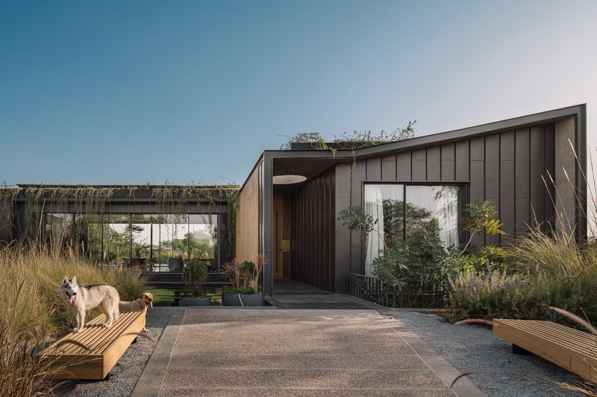 Expanses of glass are paired with modern lines, green roofs and overhanging gardens, board-formed concrete, as well as metal and wood siding.