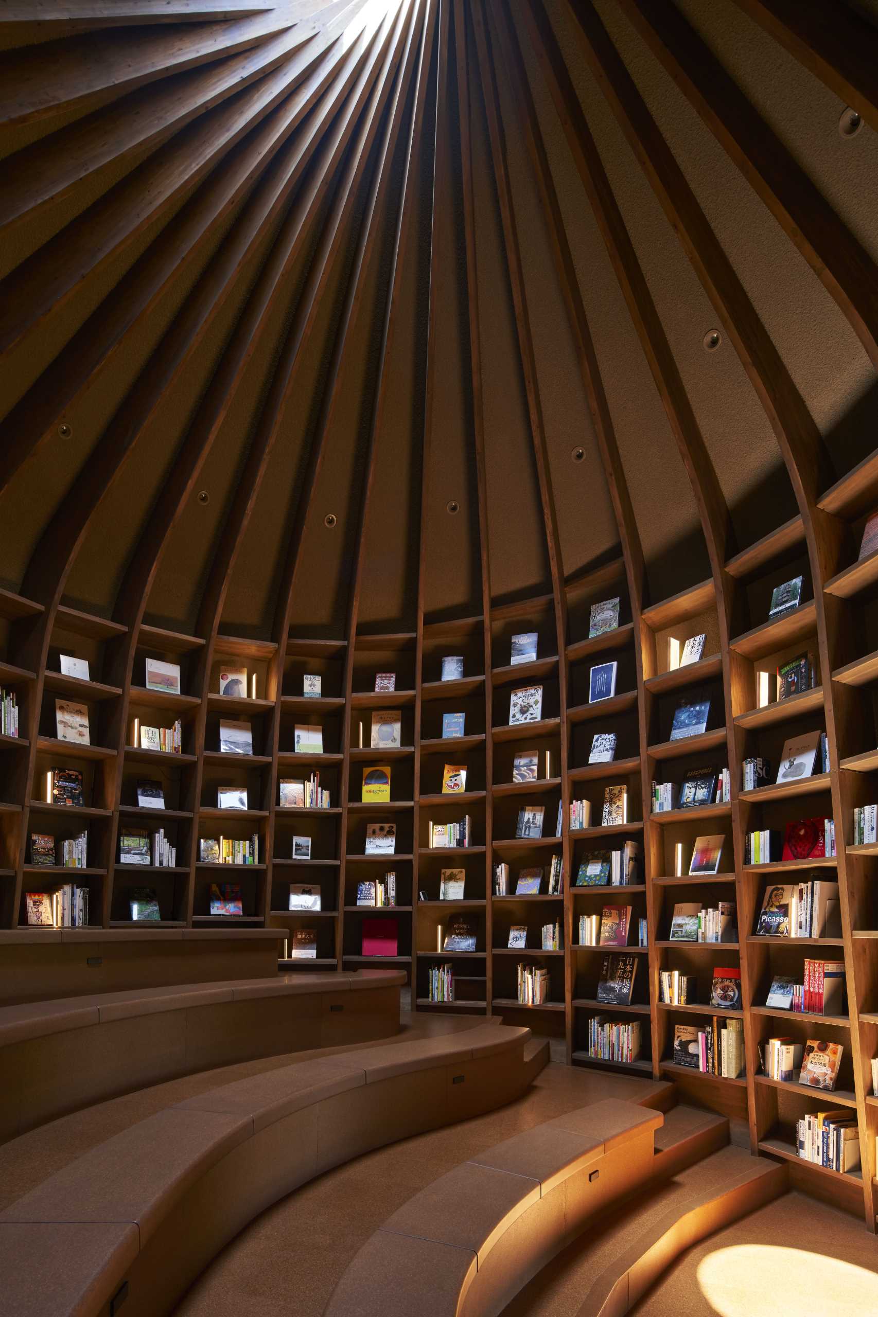 A modern library that's built into the earth includes a storytelling room with a skylight.