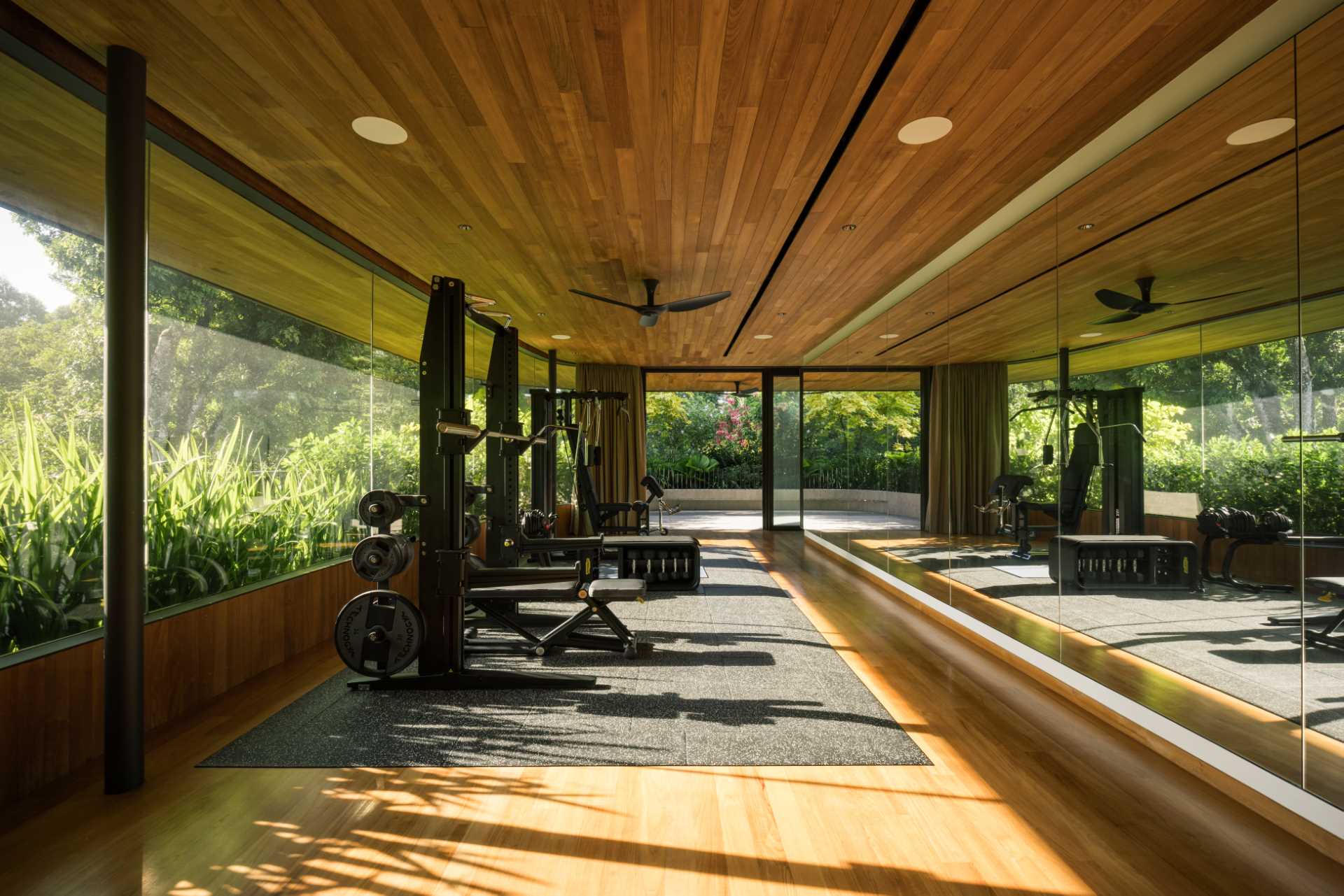 A modern home gym with a wall of mirrors that reflects the light and provides a view of the plants.