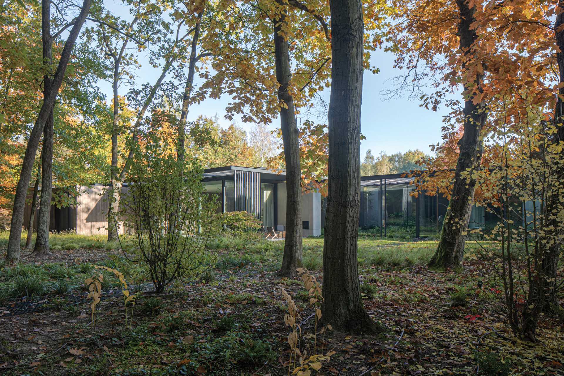 On the side of this home that faces the forest, where the setting is more intimate, the boundary between interior and exterior is blurred with glass panels.