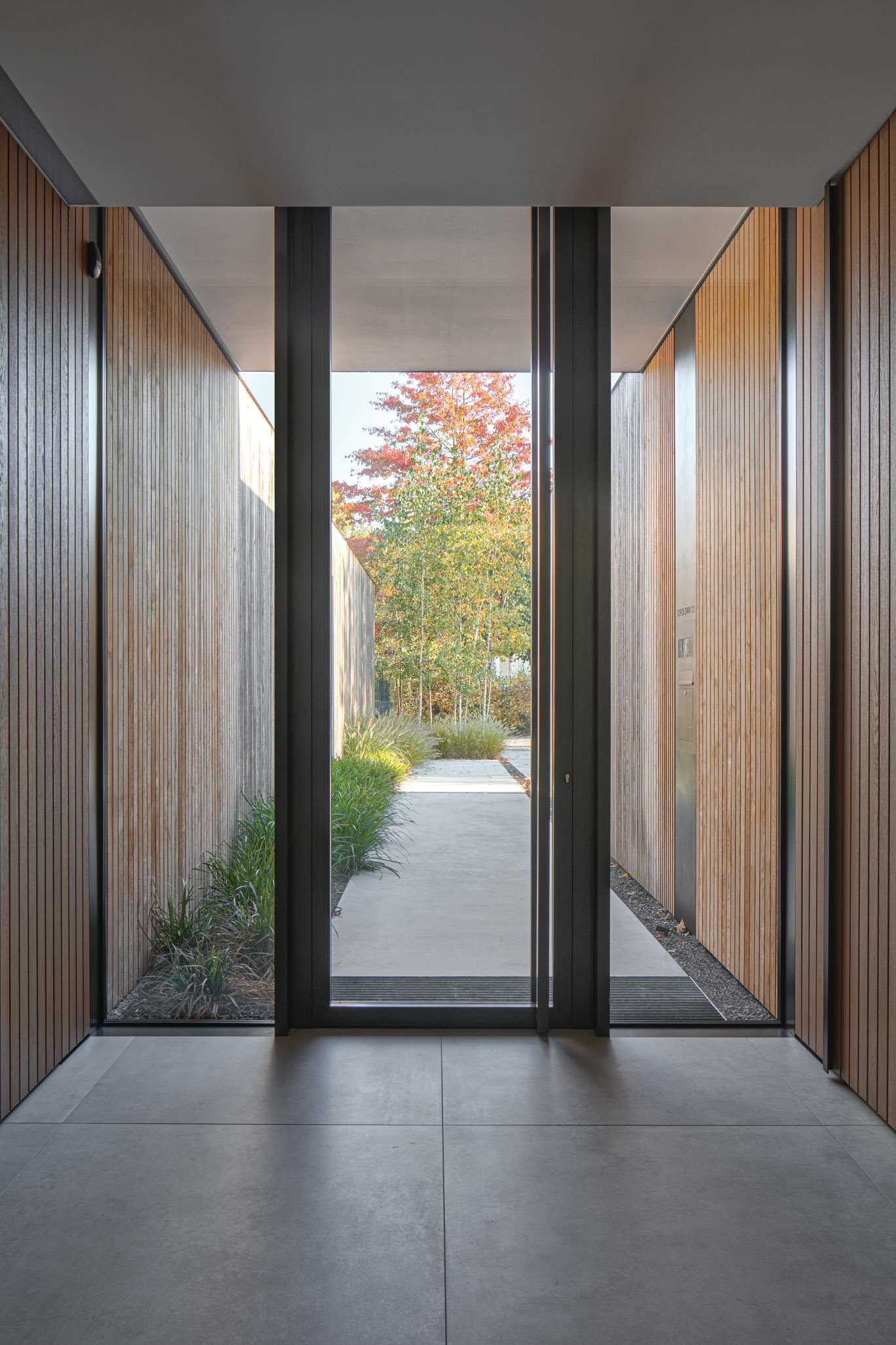 A glass front door and the windows on either side showcase the wood facade that travels through to the interior.
