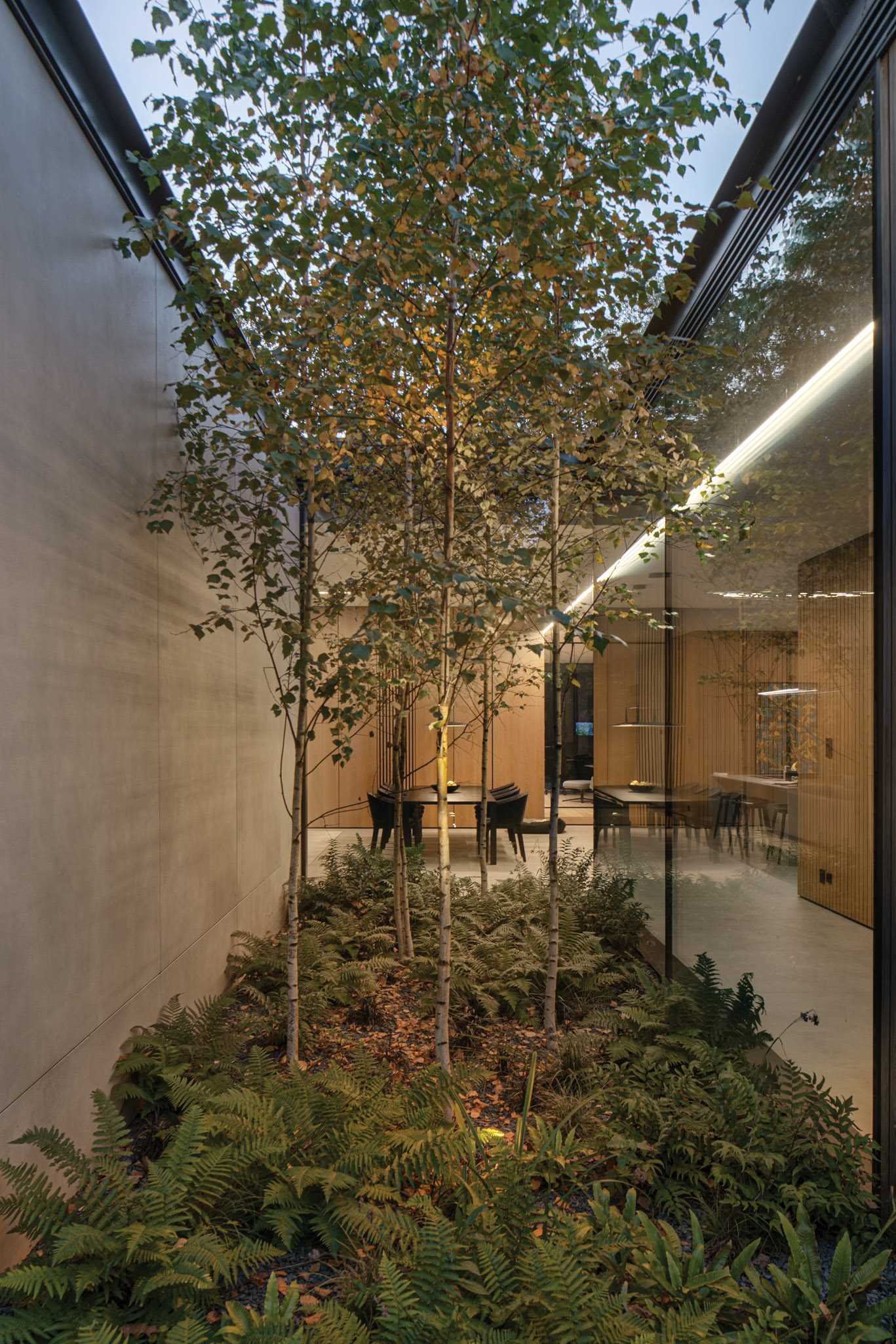 Small gardens penetrate the interior of this modern home, reaching into patios and semi-patios, appearing behind glass walls in the hall, living room, and bathroom. 