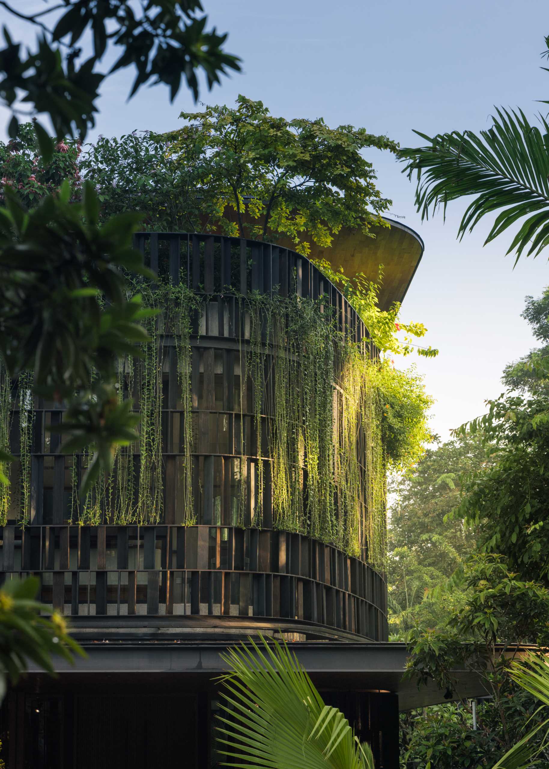 A modern house in Singapore that has plants and shade screens integrated into its design.