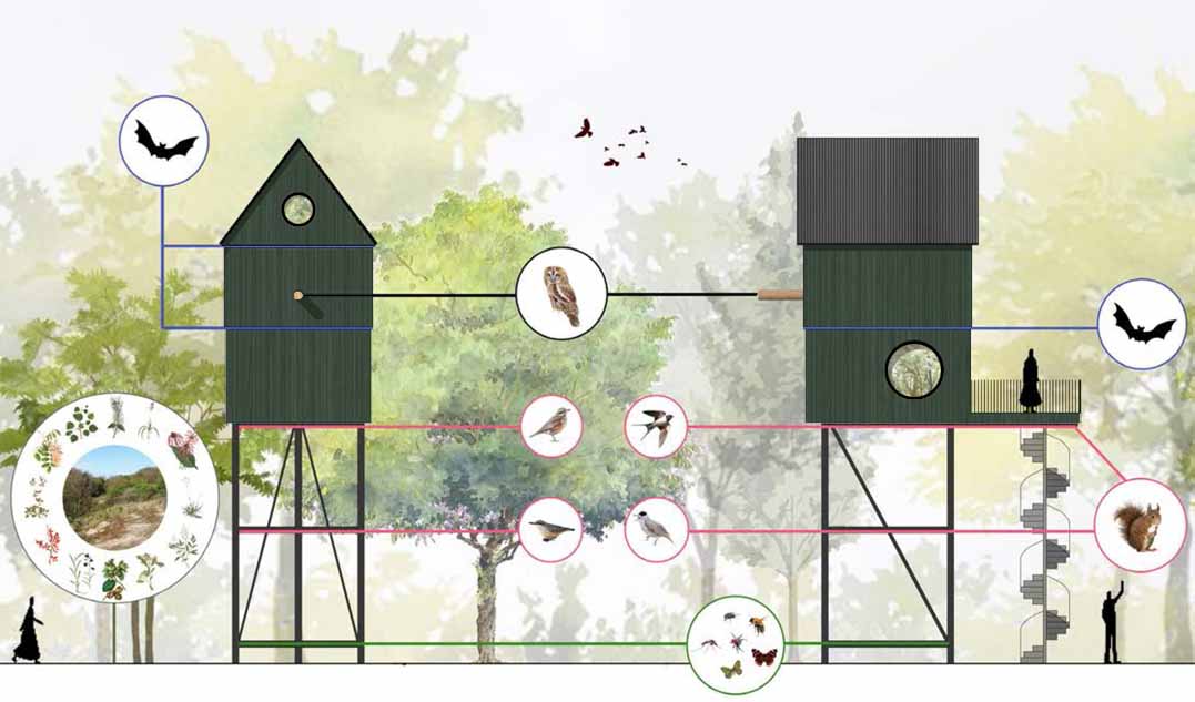 The architectural drawings of a small elevated cabin.