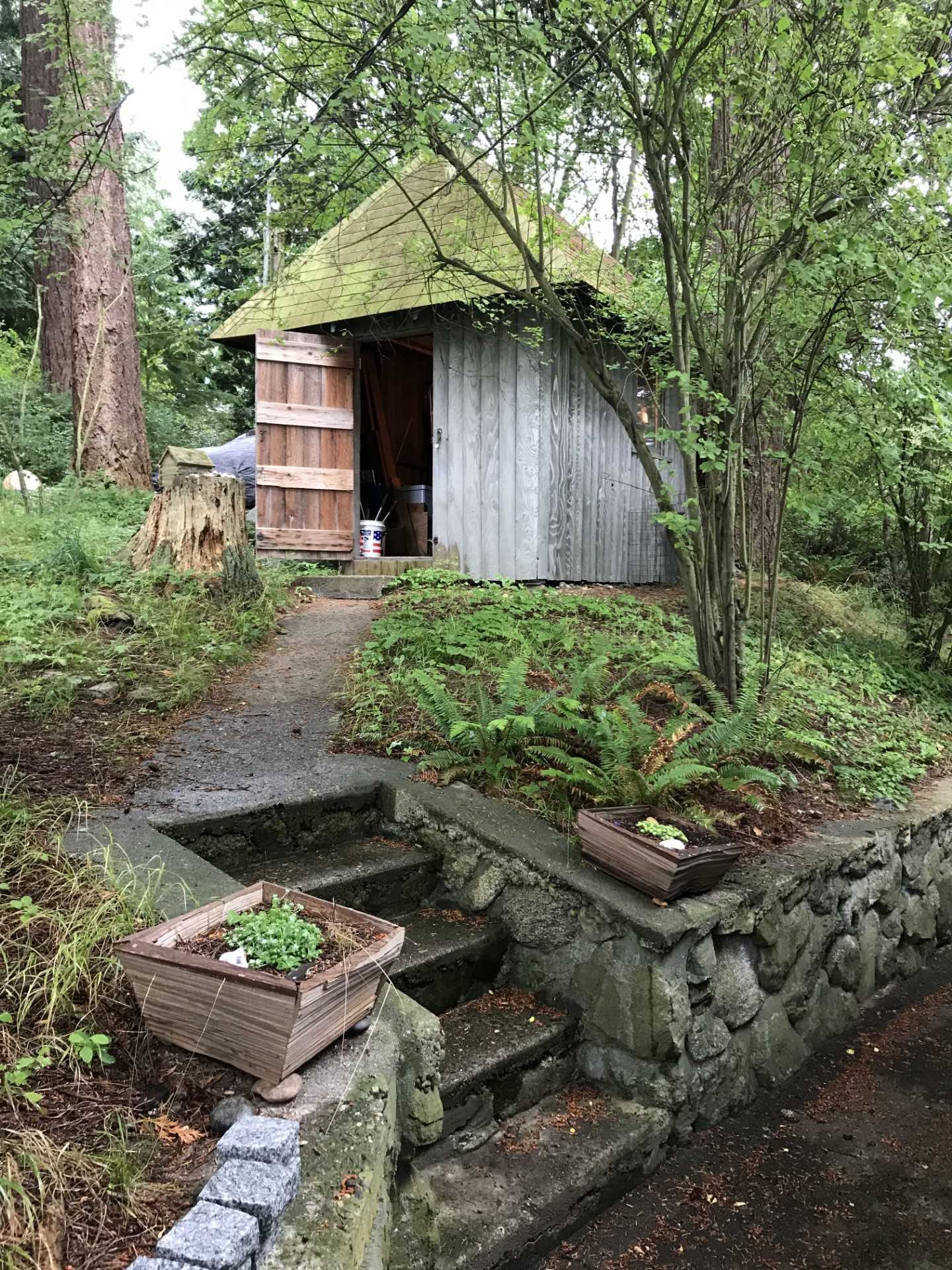 BEFORE - SHED Architecture & Design has shared photos of a two-story bunkhouse on Guemes Island, Washington State, that provides additional sleeping accommodations for a family's cabin.