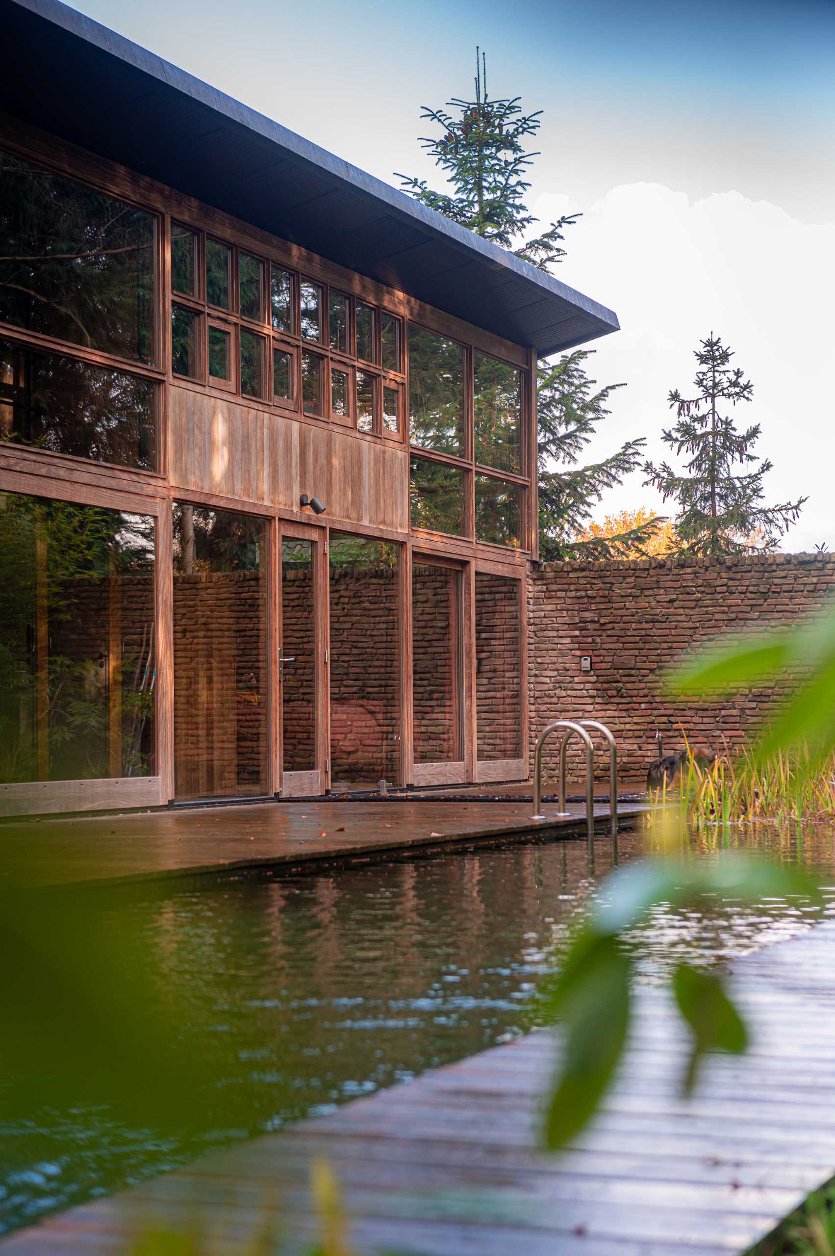 A modern home with rough and rugged materials like bricks and wood, also has a natural swimming pool.