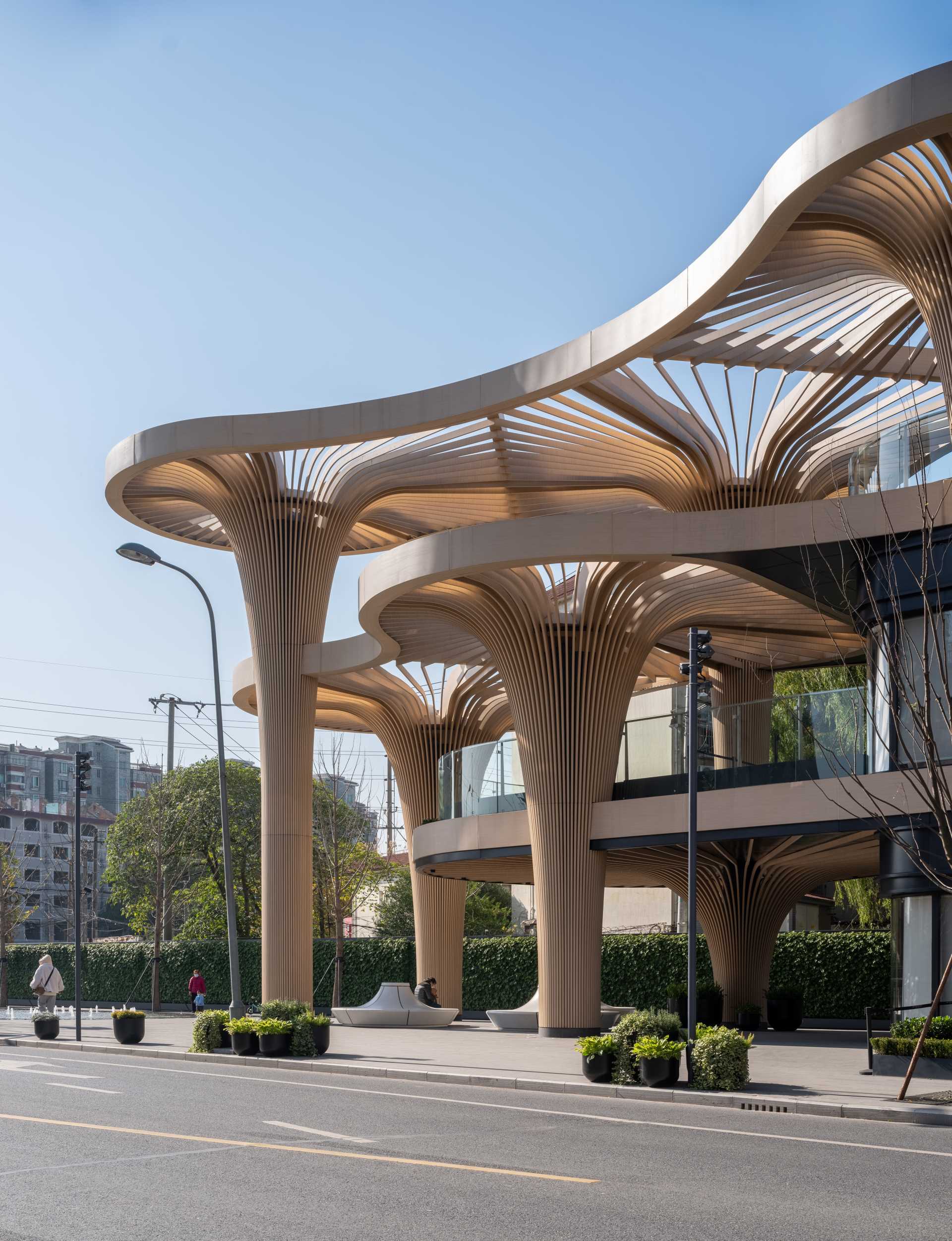 A modern building whose design has been inspired by trees.