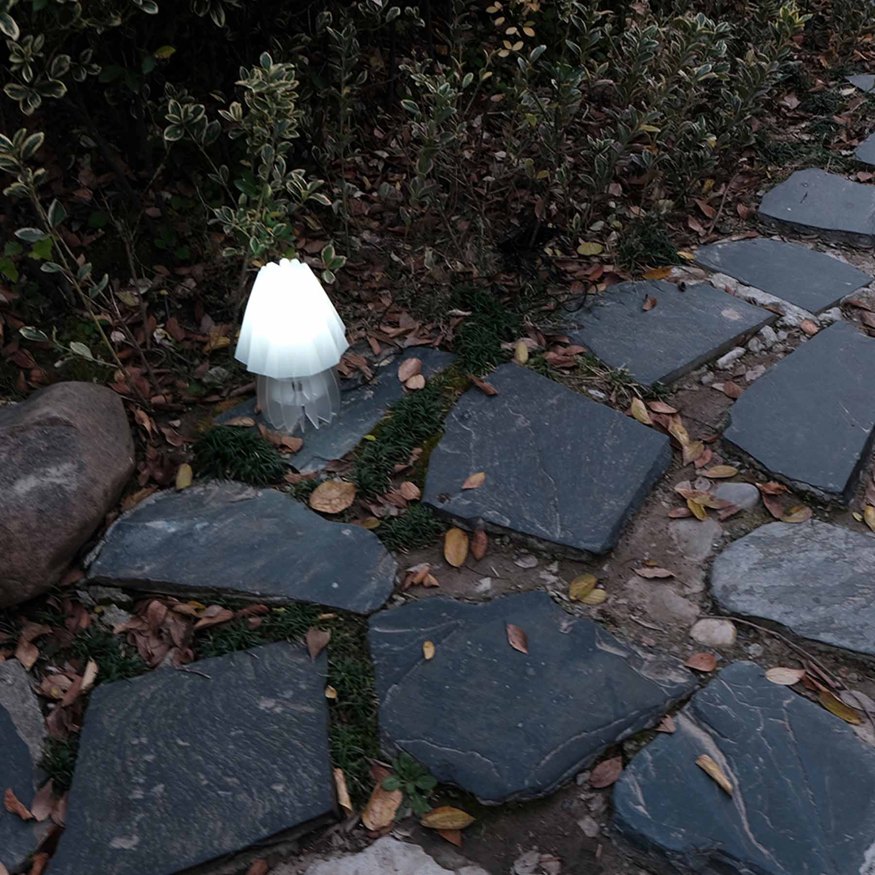 Flora Mushroom Yard Light by Haile Wu