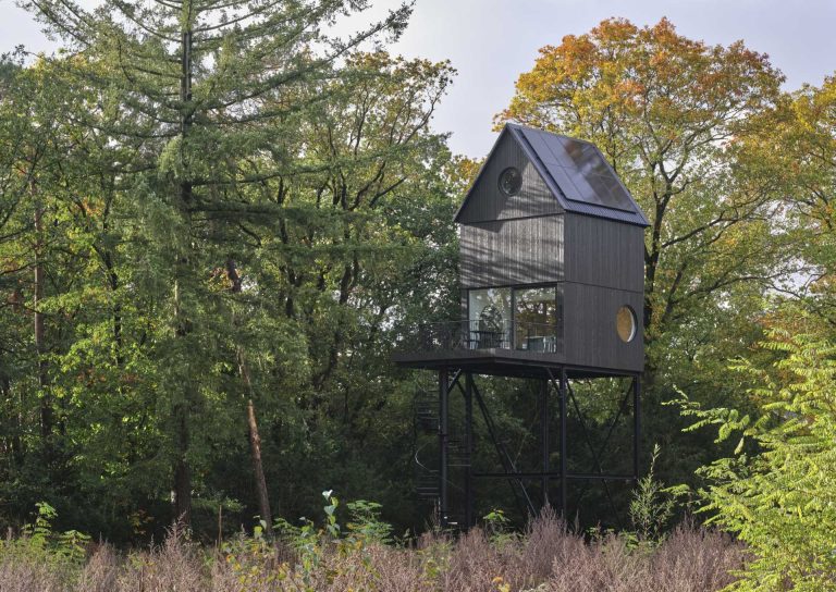 This Elevated Cabin Looks Like A Birdhouse