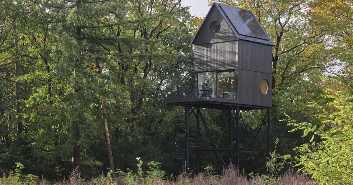 This Elevated Cabin Looks Like A Birdhouse