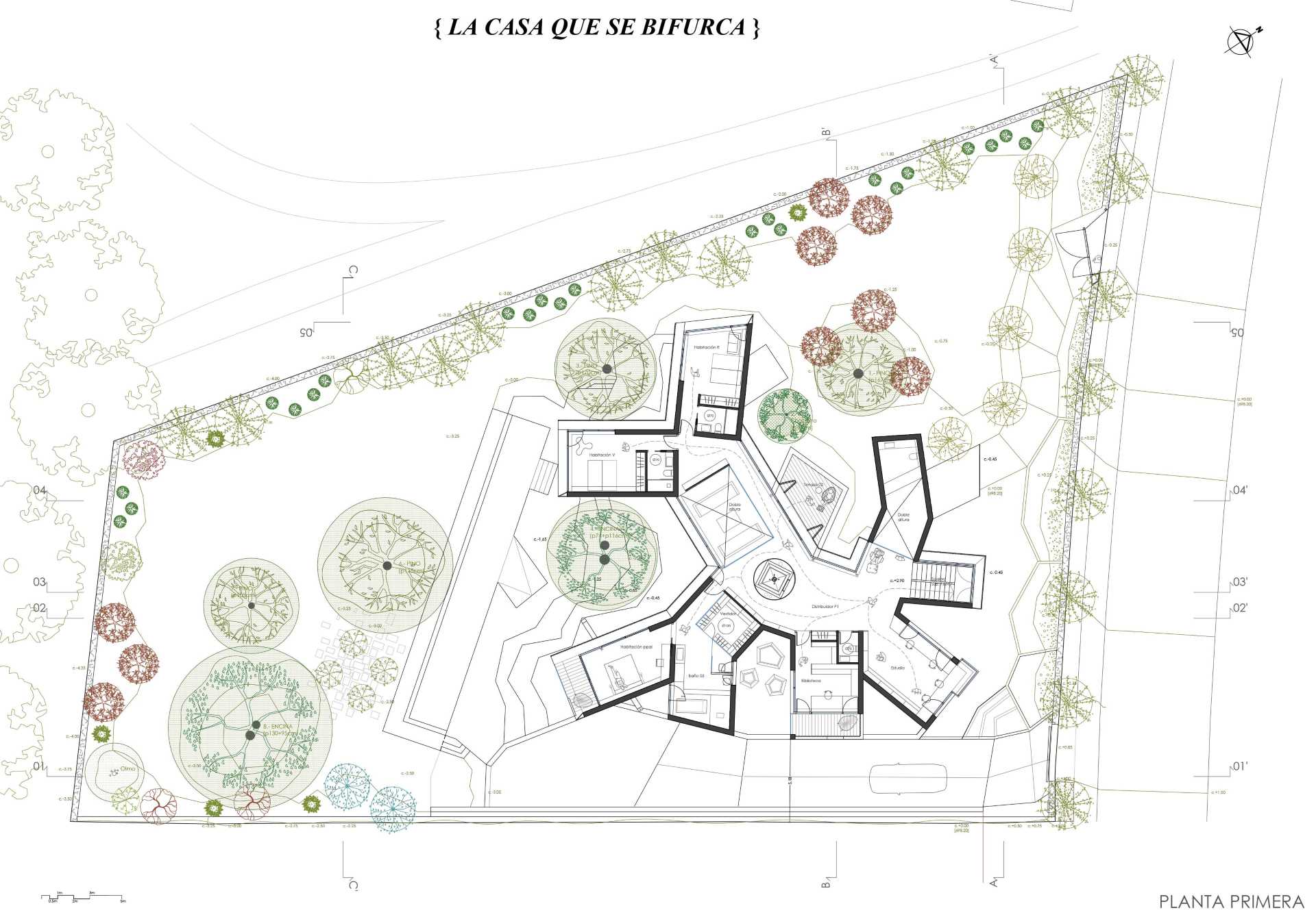 The floor plan of a modern home.