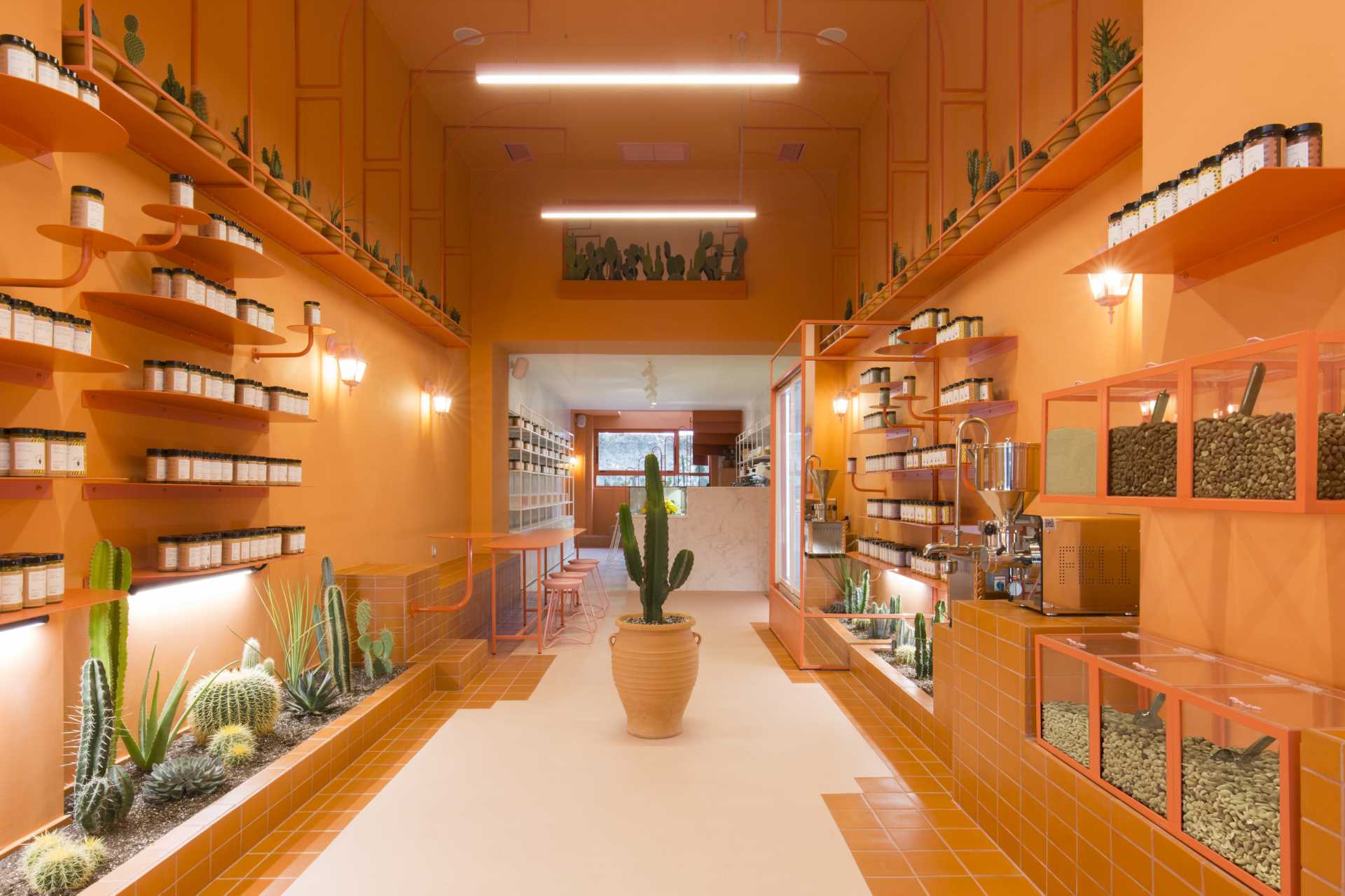 A modern retail store with a monochromatic terracotta interior that also includes built-in planters for cacti.