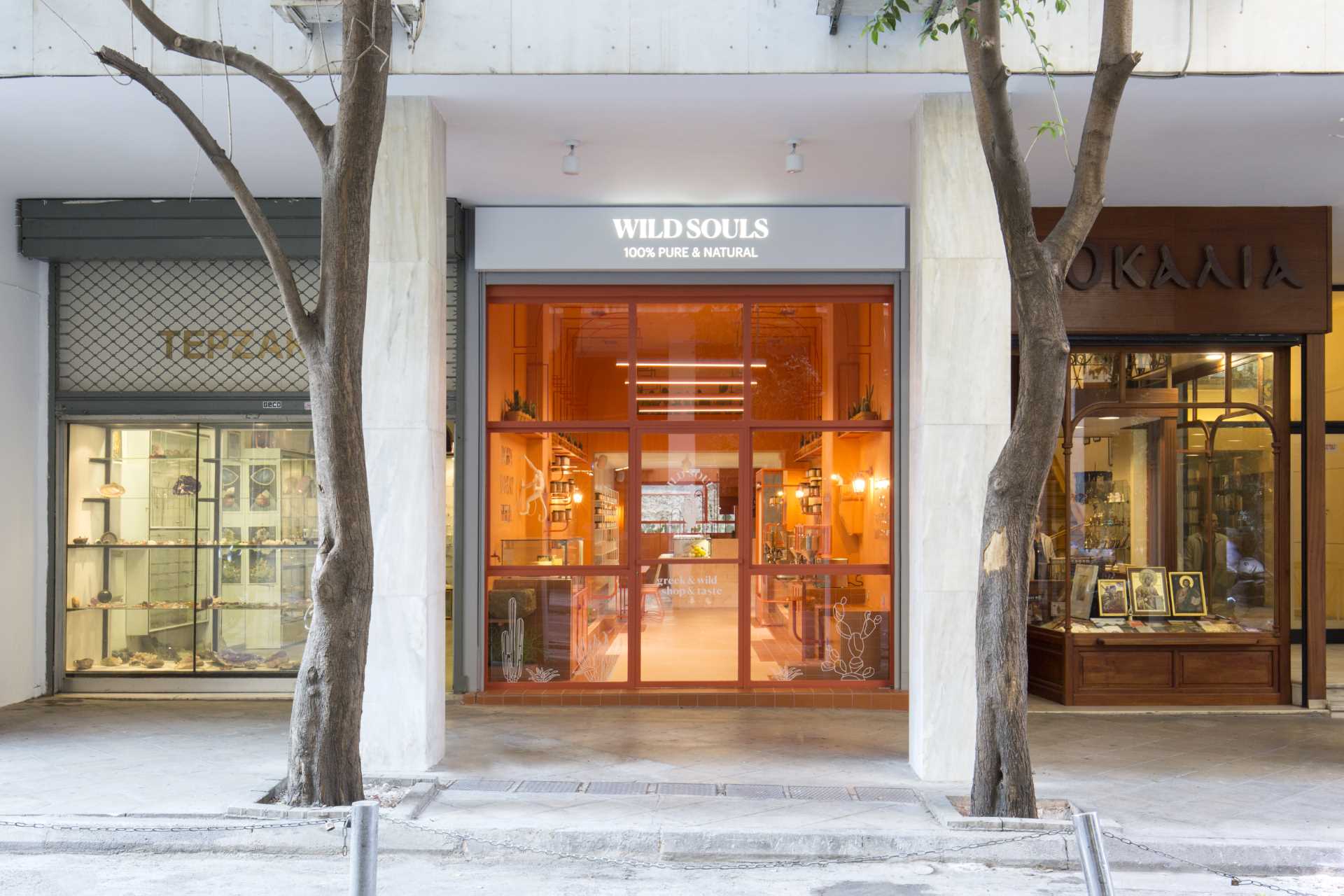 A modern retail store with a monochromatic terracotta interior that also includes built-in planters for cacti.