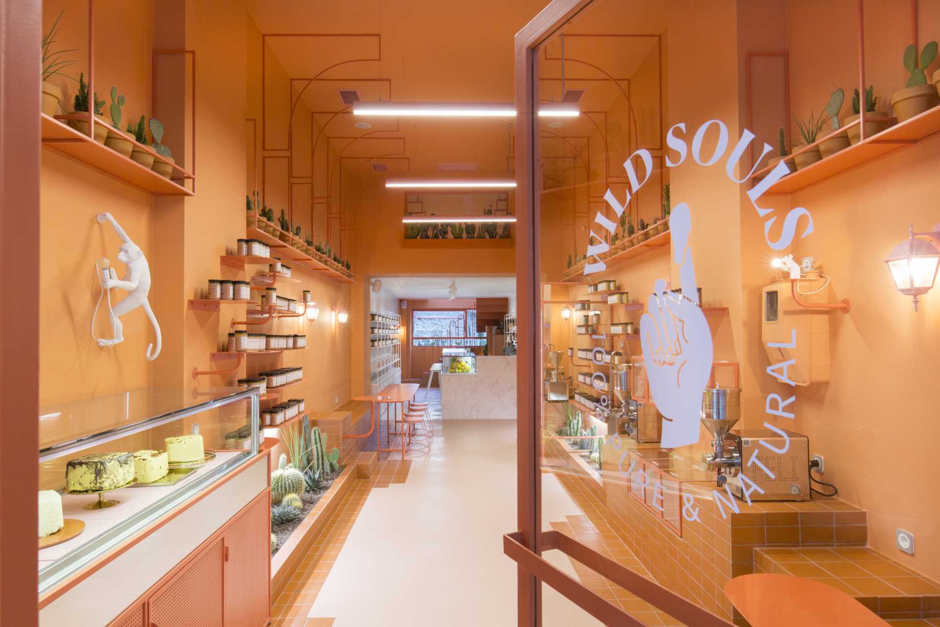 A modern retail store with a monochromatic terracotta interior that also includes built-in planters for cacti.