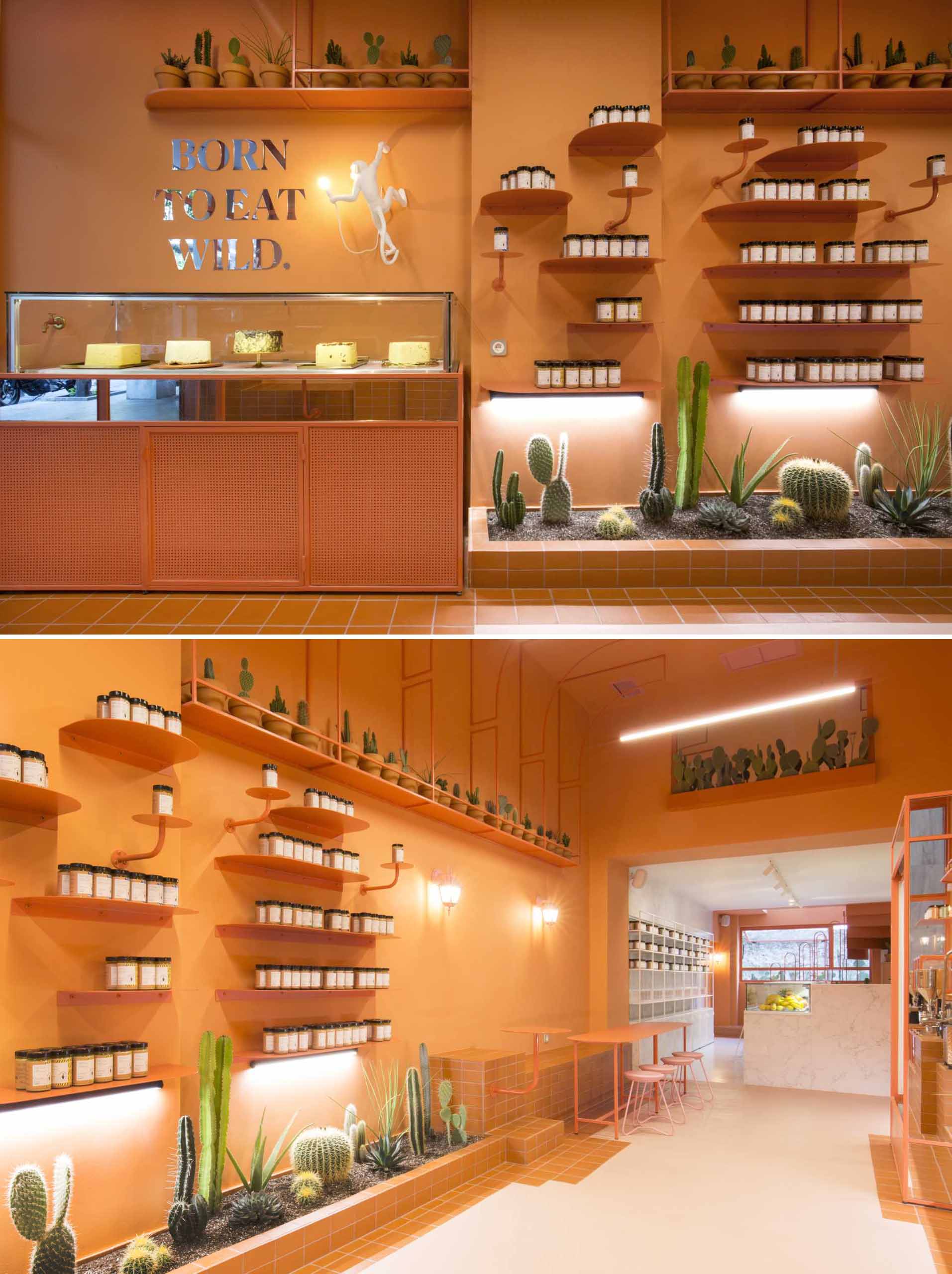 A modern retail store with a monochromatic terracotta interior that also includes built-in planters for cacti.