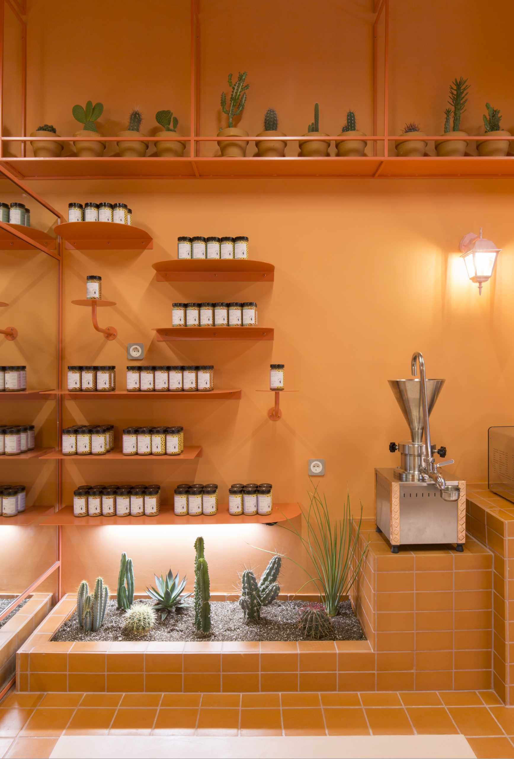 A modern retail store with a monochromatic terracotta interior that also includes built-in planters for cacti.