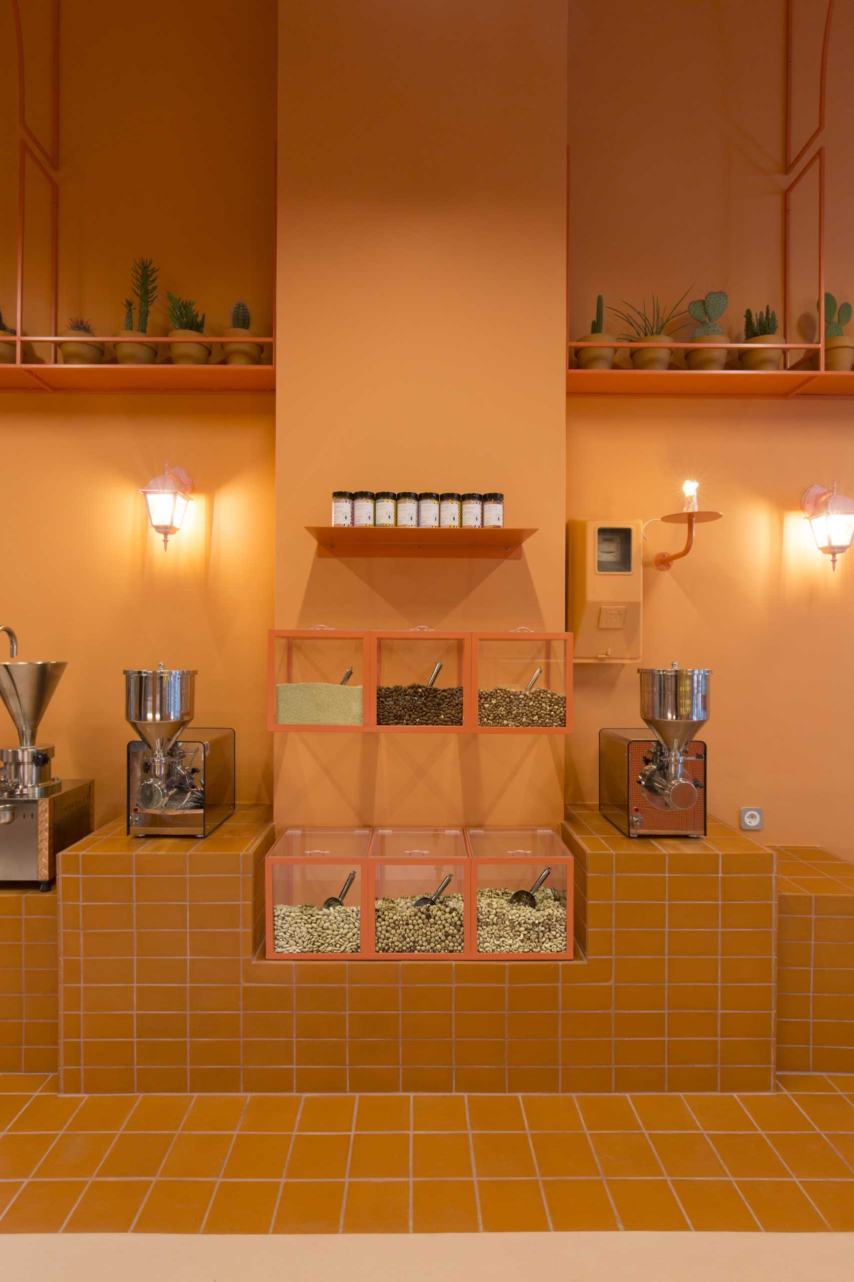 A modern retail store with a monochromatic terracotta interior that also includes built-in planters for cacti.