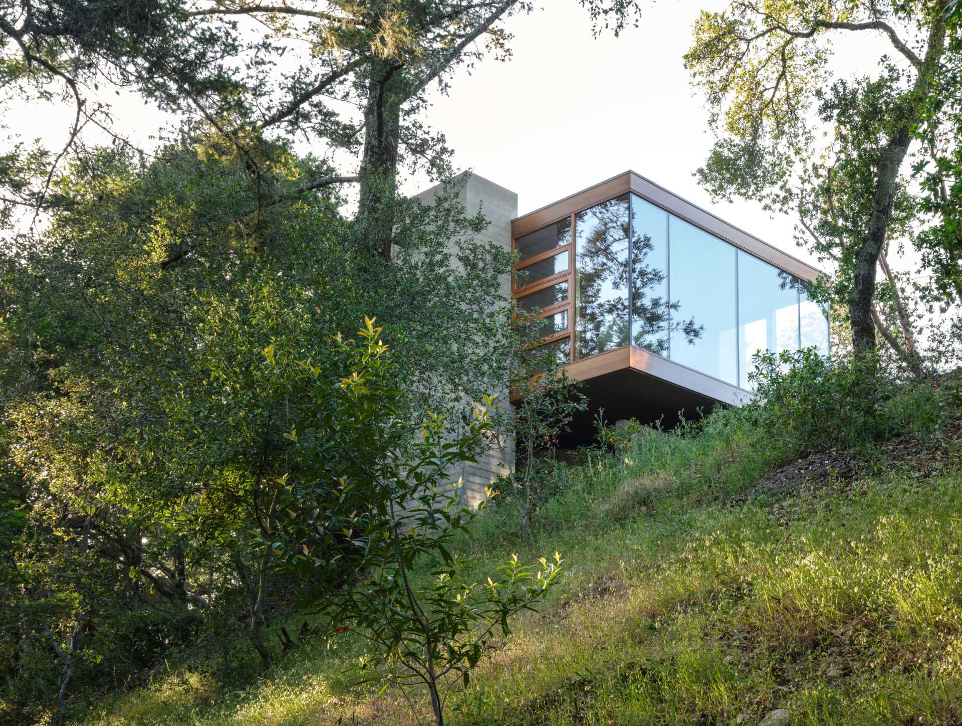 A wood-framed glass box is home to a backyard office.