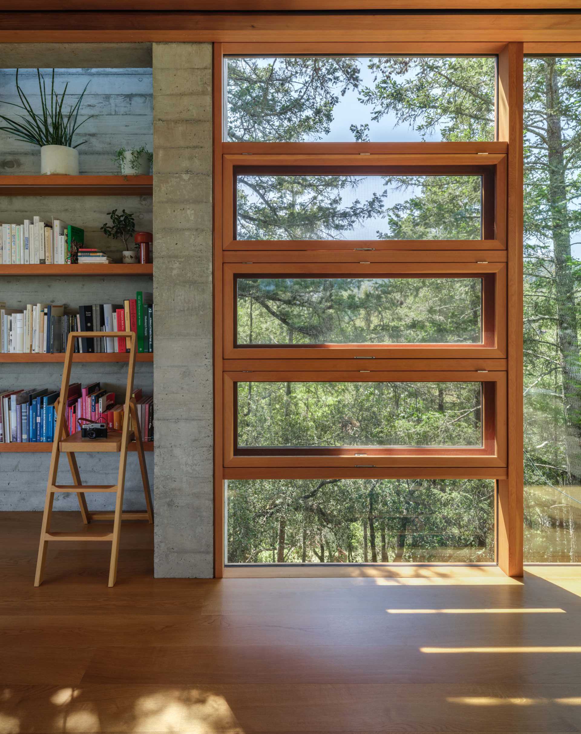 A wood-framed glass box is home to a backyard office.