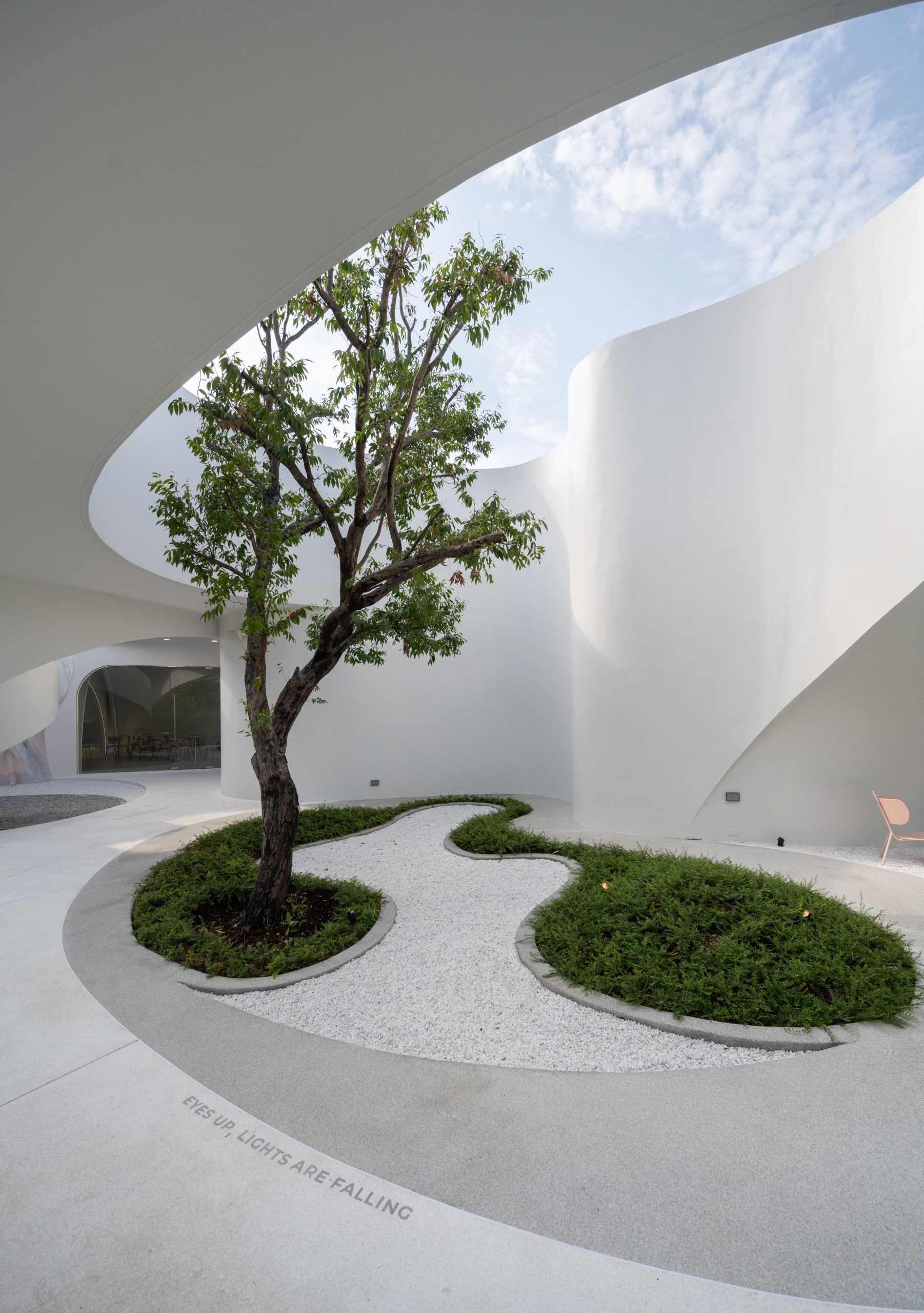 A coffee shop courtyard, open to the elements, includes a small garden with a tree, that draws your eye upward to the sky.