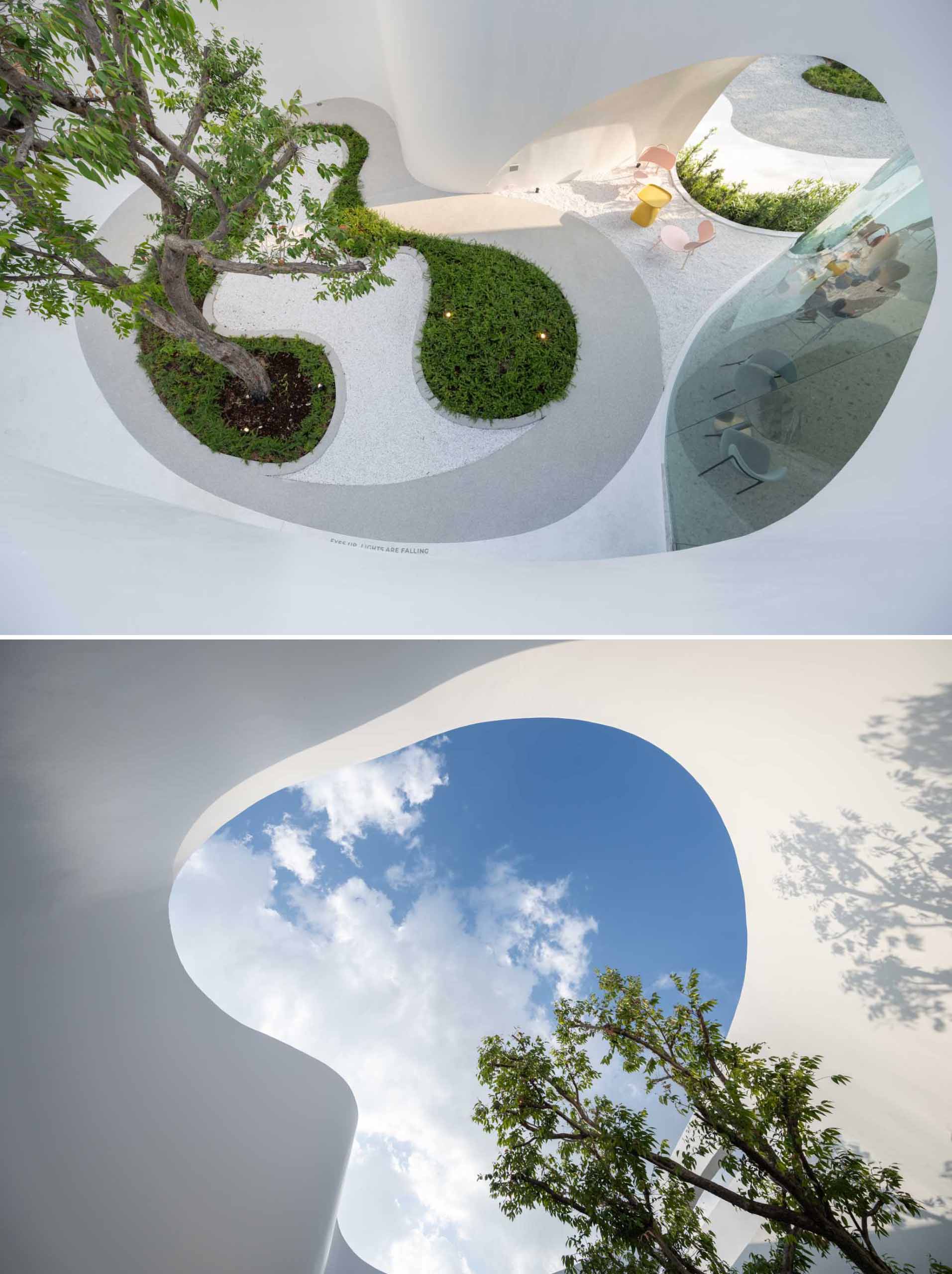 A coffee shop courtyard, open to the elements, includes a small garden with a tree, that draws your eye upward to the sky.