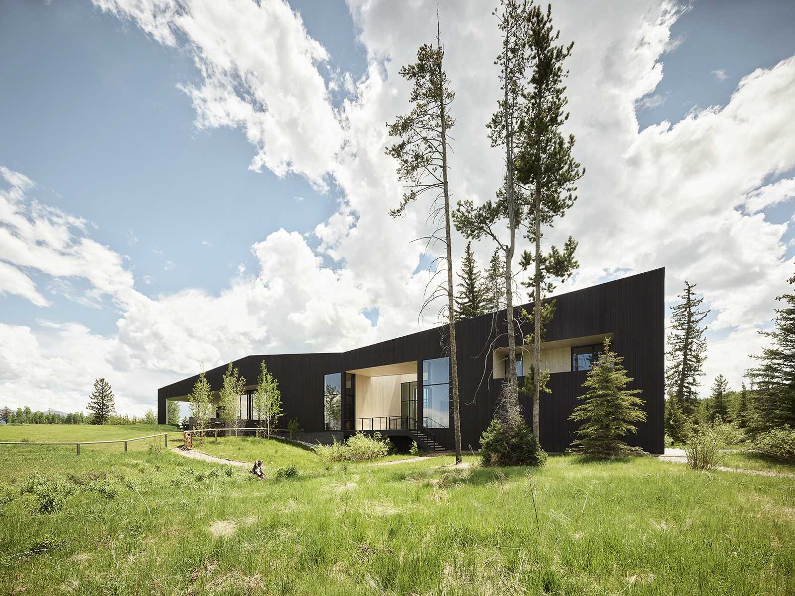 A modern home features a charred shou sugi ban exterior.