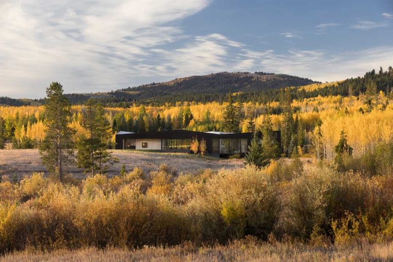 A Charred Wood Exterior Was Given To This Modern Home In The Forest